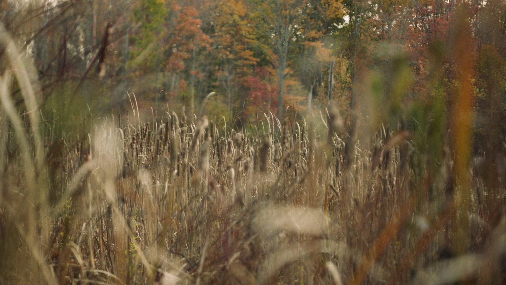 Day 2 Melt.01_17_26_17.Still045.jpg