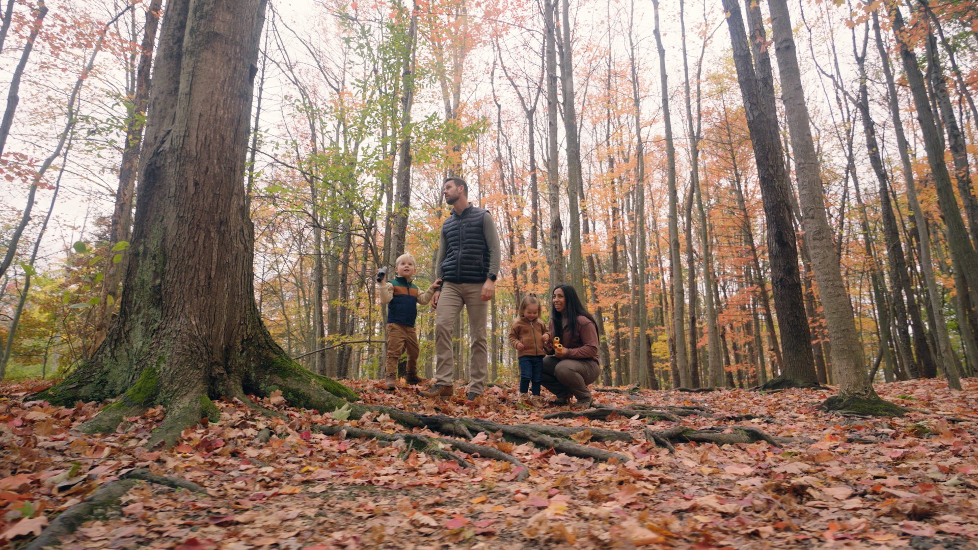 Day 2 Melt.00_07_54_12.Still011.jpg