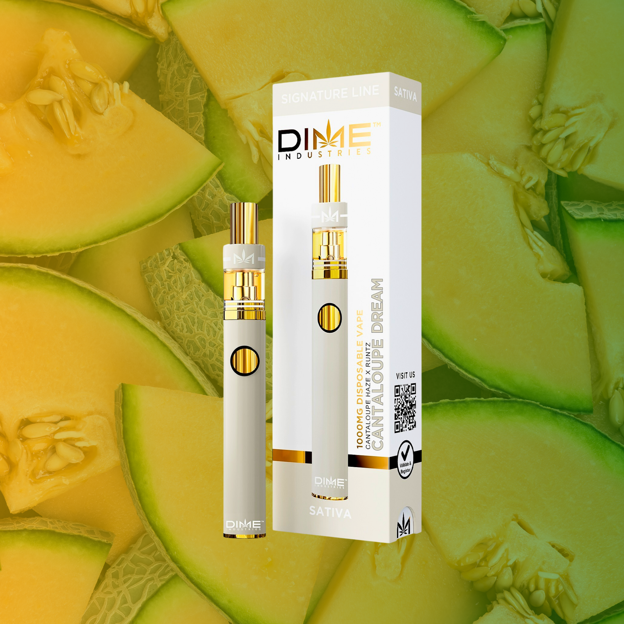 dime cantaloupe dream (1).png