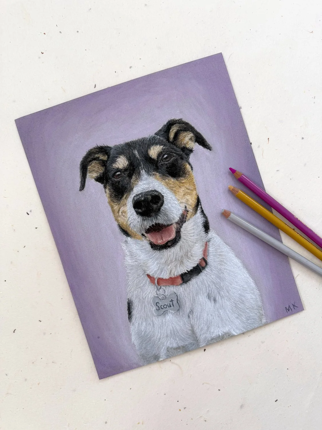 custom pet portraits