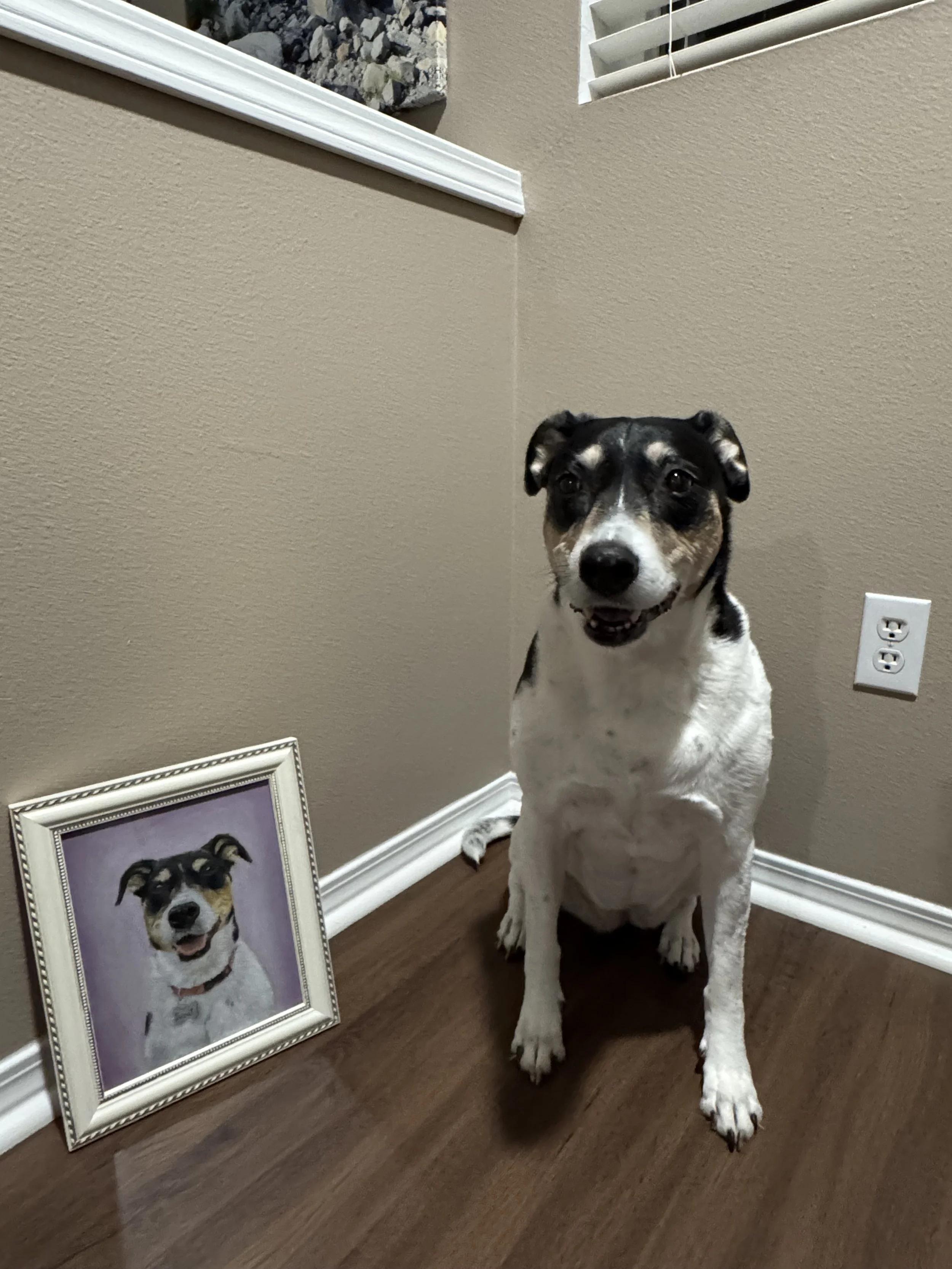 custom dog portraits
