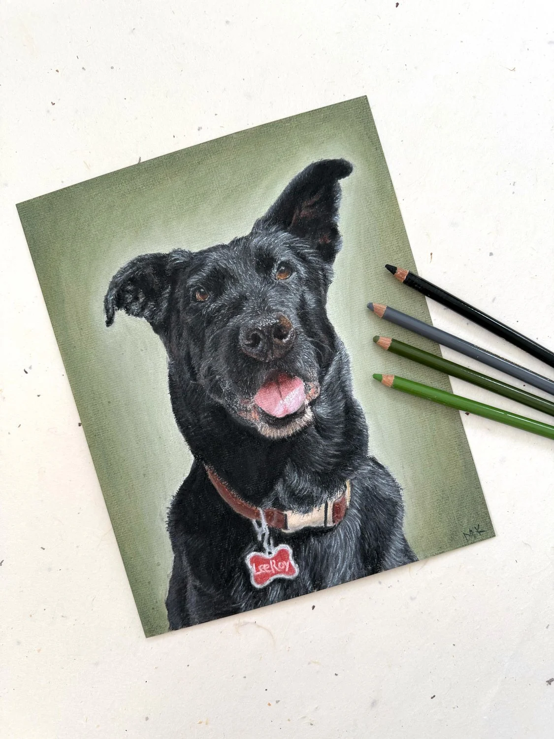 dog portraits