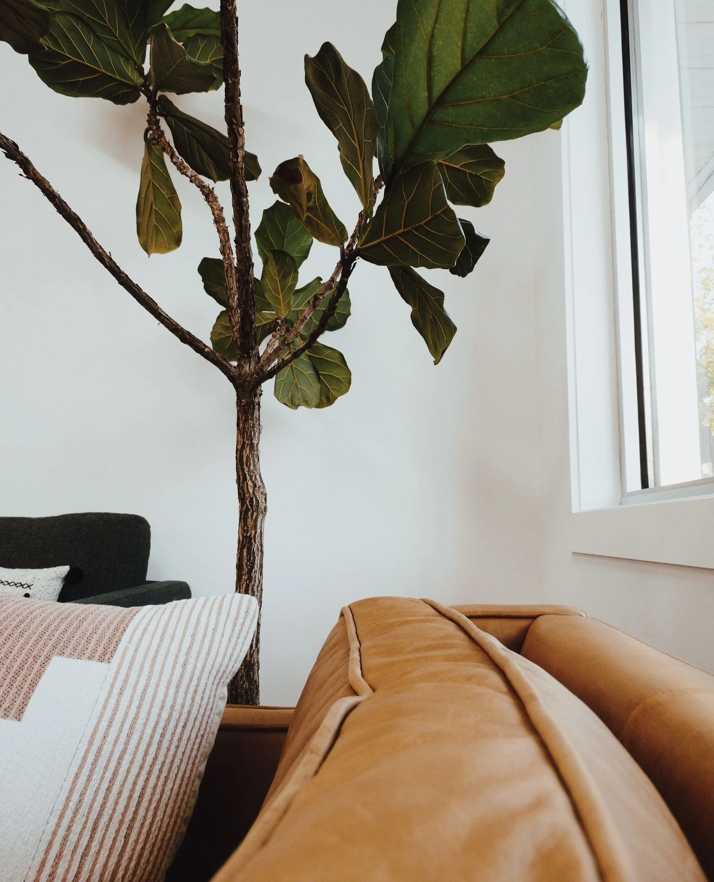 Fresh starts begin here&mdash;picture all the possibilities in a new apartment ready to reflect your style! 🍃✨️⁠
⁠
Call or visit our website to schedule a tour today! ⁠
⁠
📱614.382.2234⁠
🔗 kingsleyparkliving.com⁠