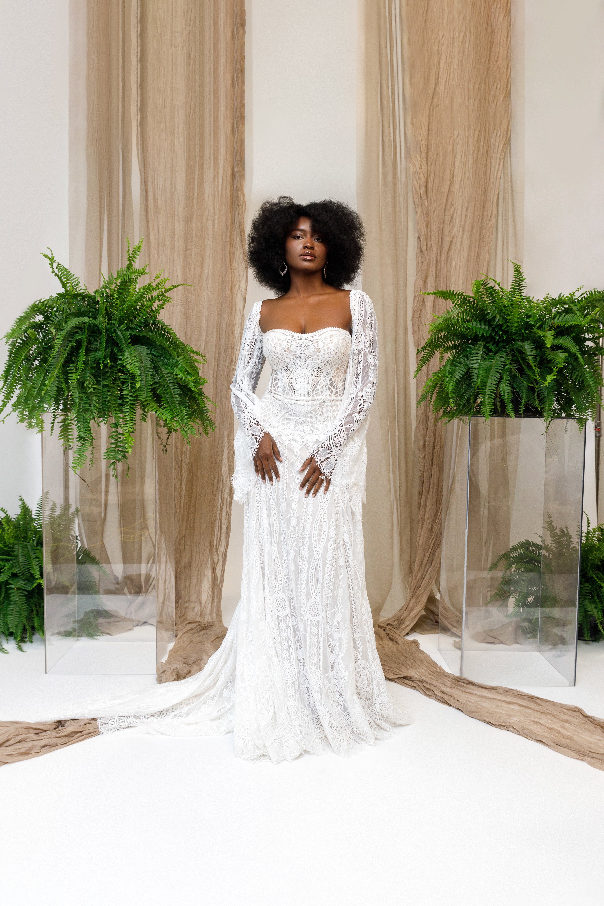 F281 - Taylor_01.jpg