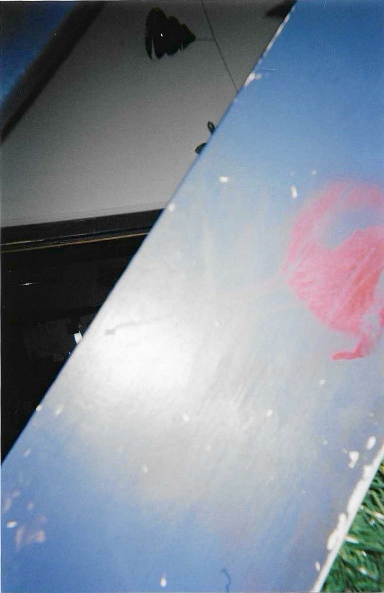 20260424_110157239_iOS.jpg