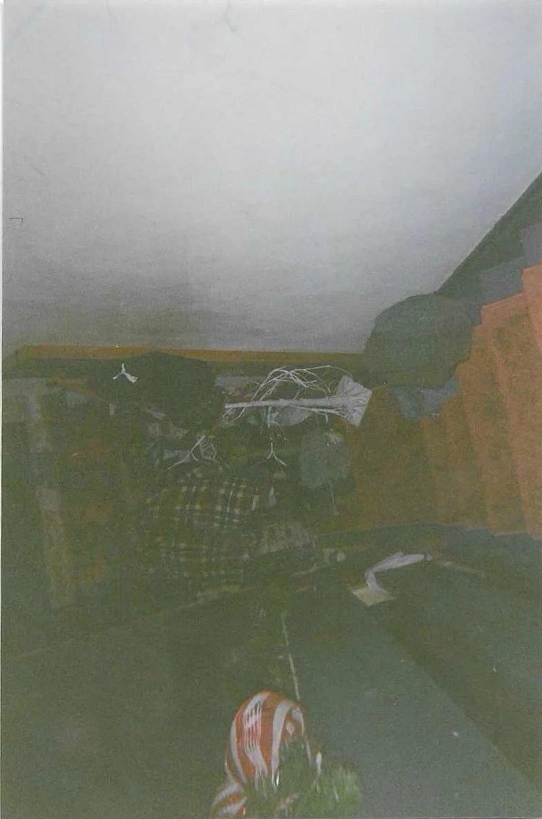 20260424_110338749_iOS.jpg