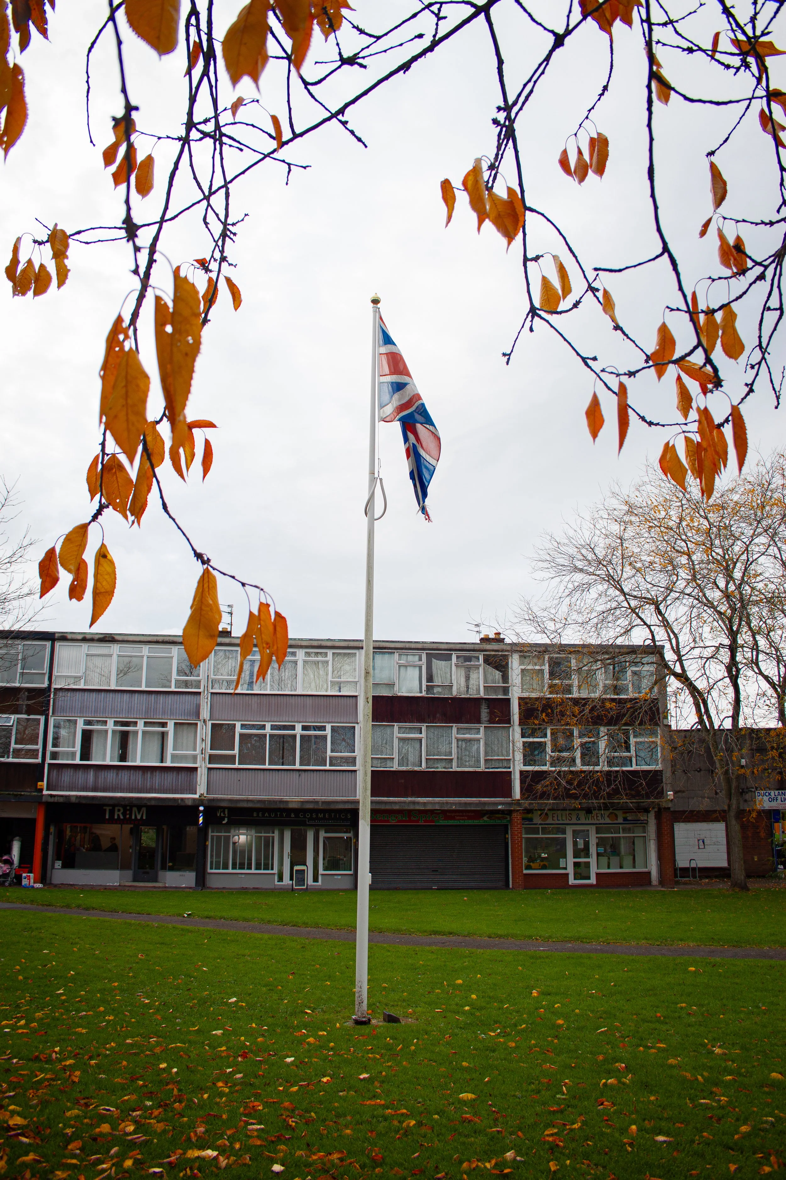 "The Flags"
