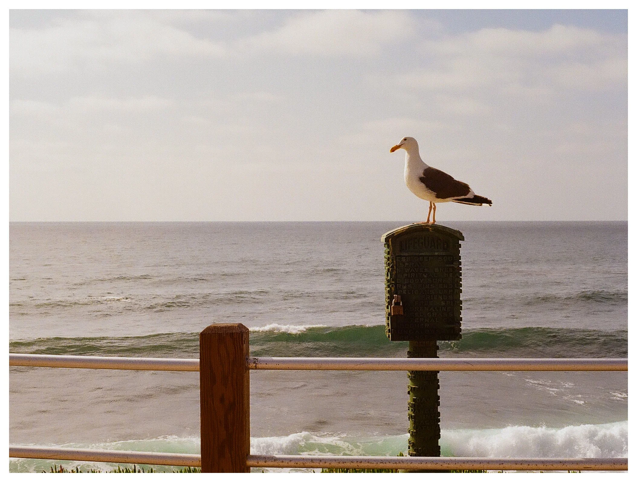 La Jolla