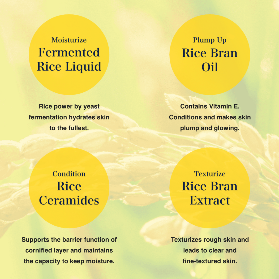 Keana rice mask 10 pc (1).png