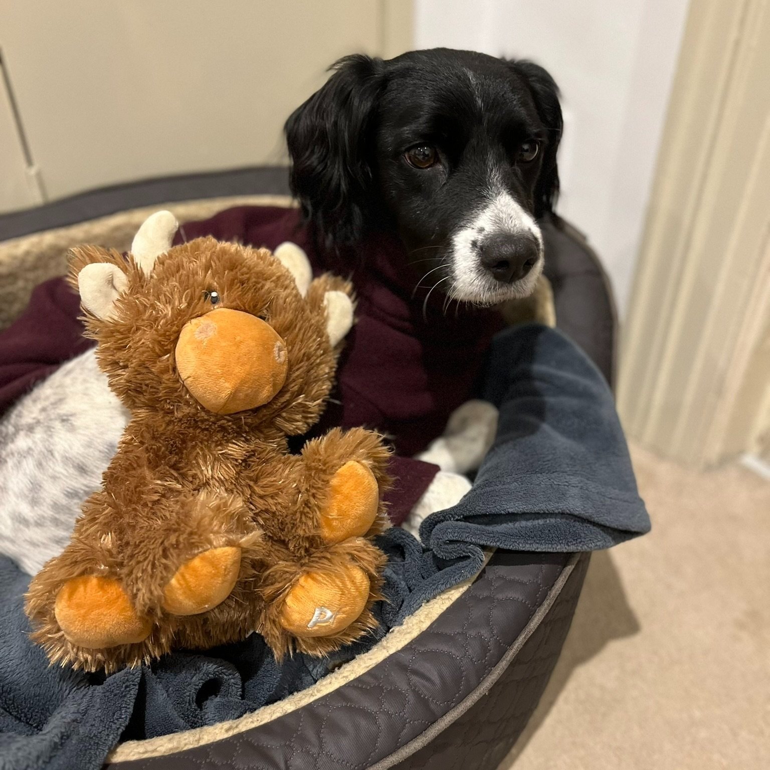 Mags (and her cow!)