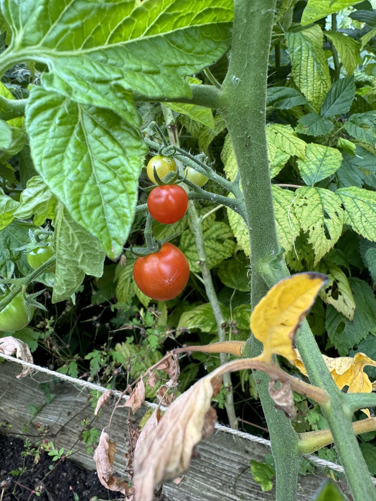 IMG_4073.JPEG