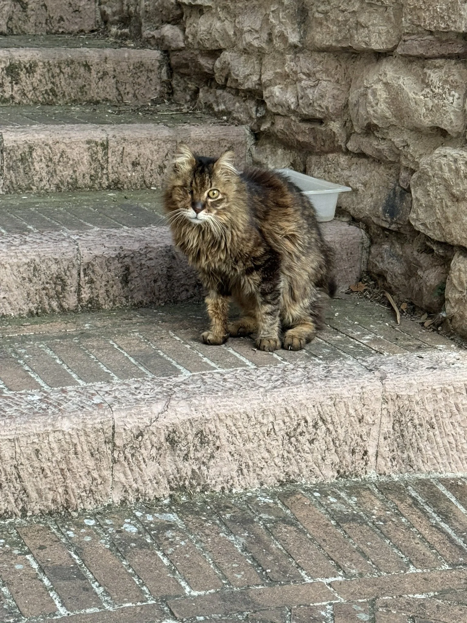 IMG_5922.JPEG