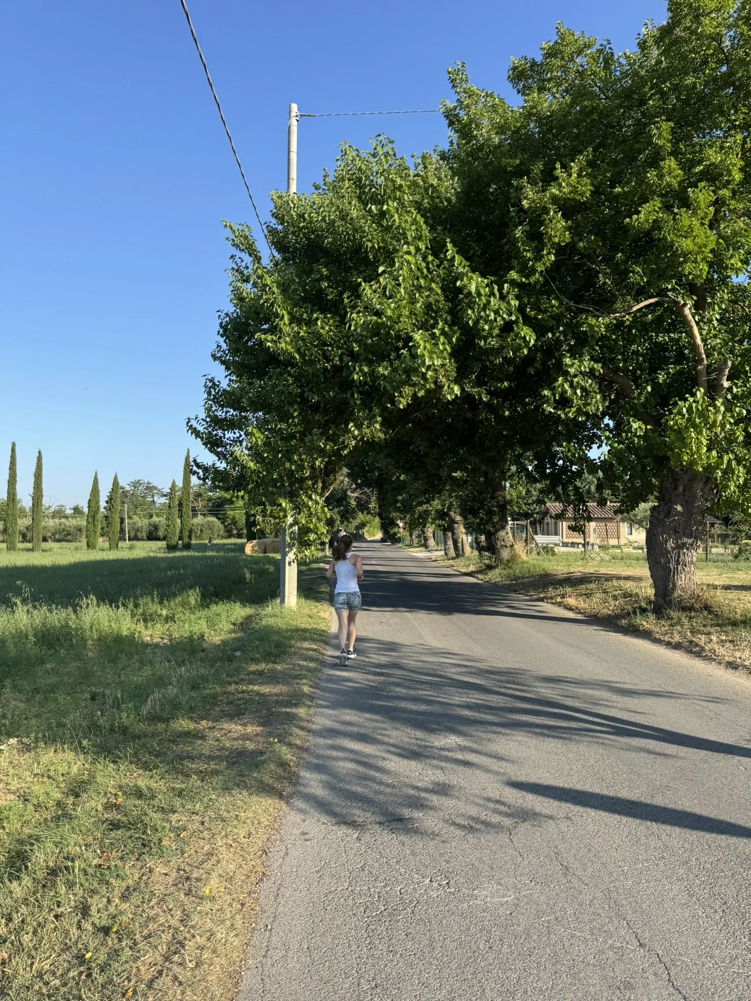 IMG_6001.JPEG