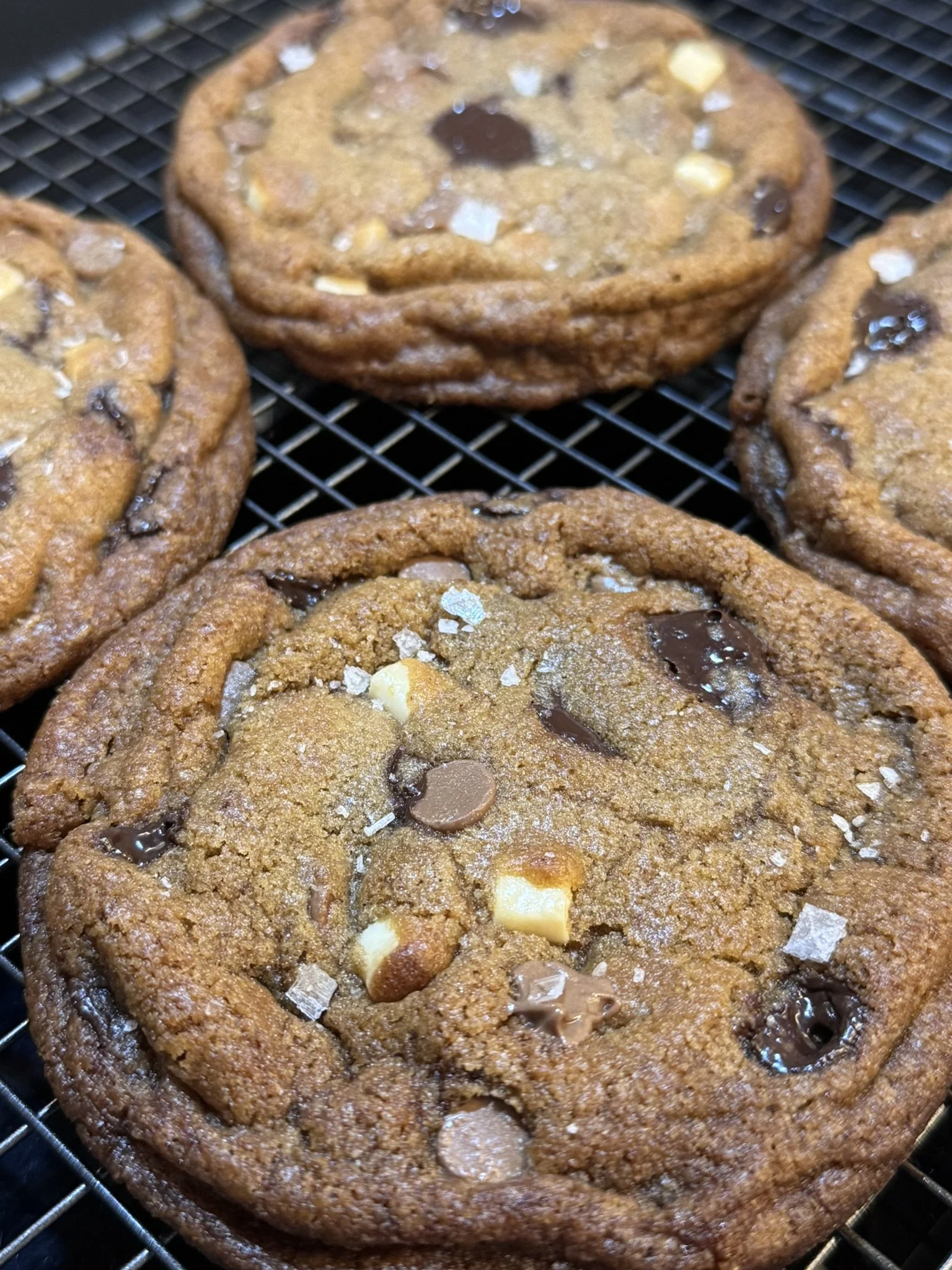 Malty chocolate chip cookies