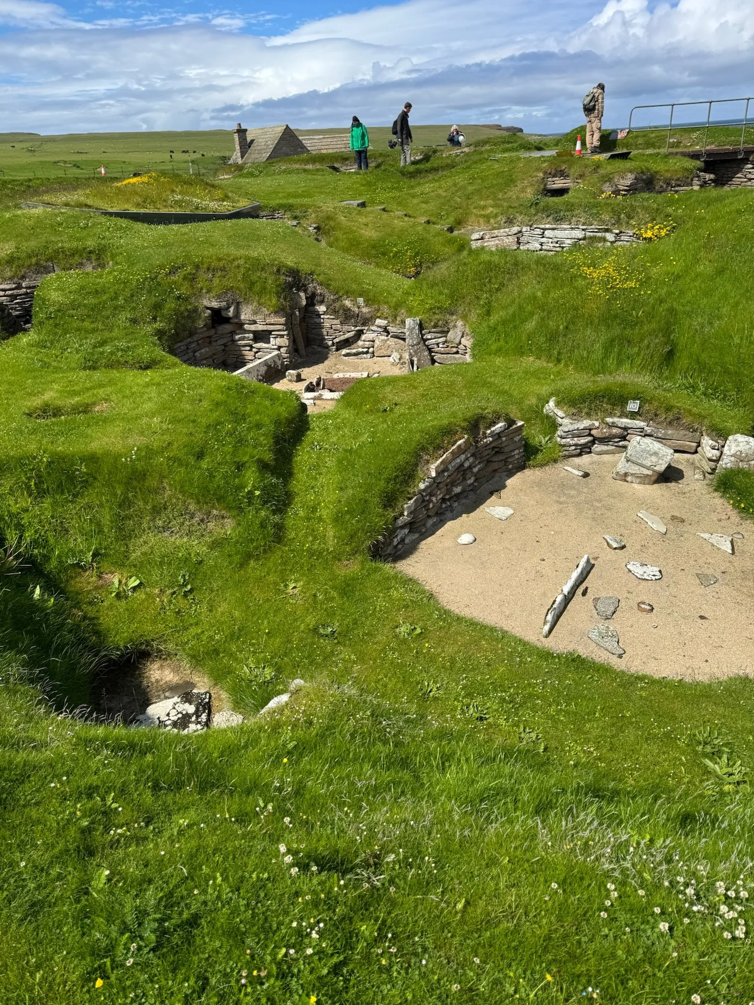 IMG_8561.jpg