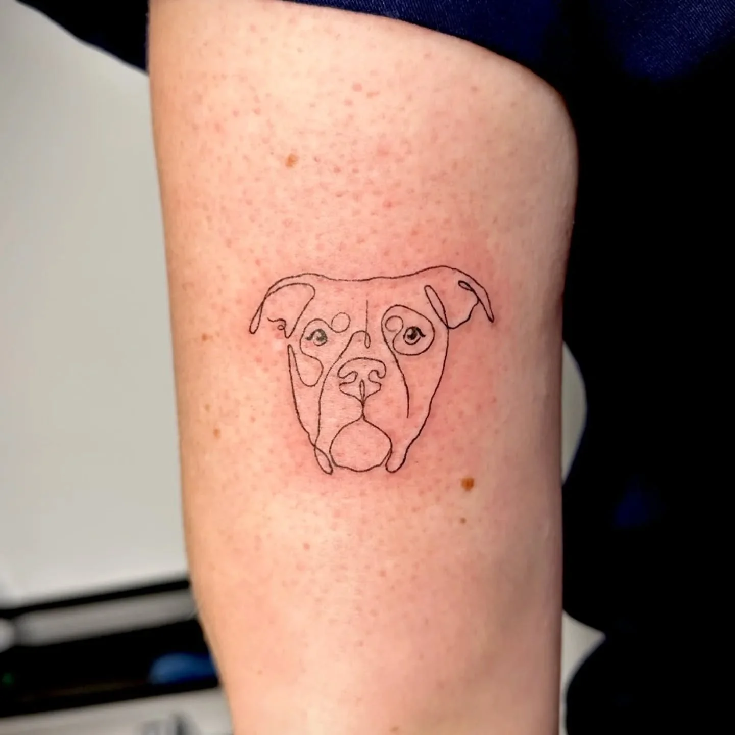 A permanent tribute to a love that never fades! 🐾

Want some fine line ink to honor your furry friend? Schedule your next tattoo appointment with @lilacgrovestudio for the cutest new ink! 💜

#tattooideas #tattooartist #petlovers #purelashandbeauty 
