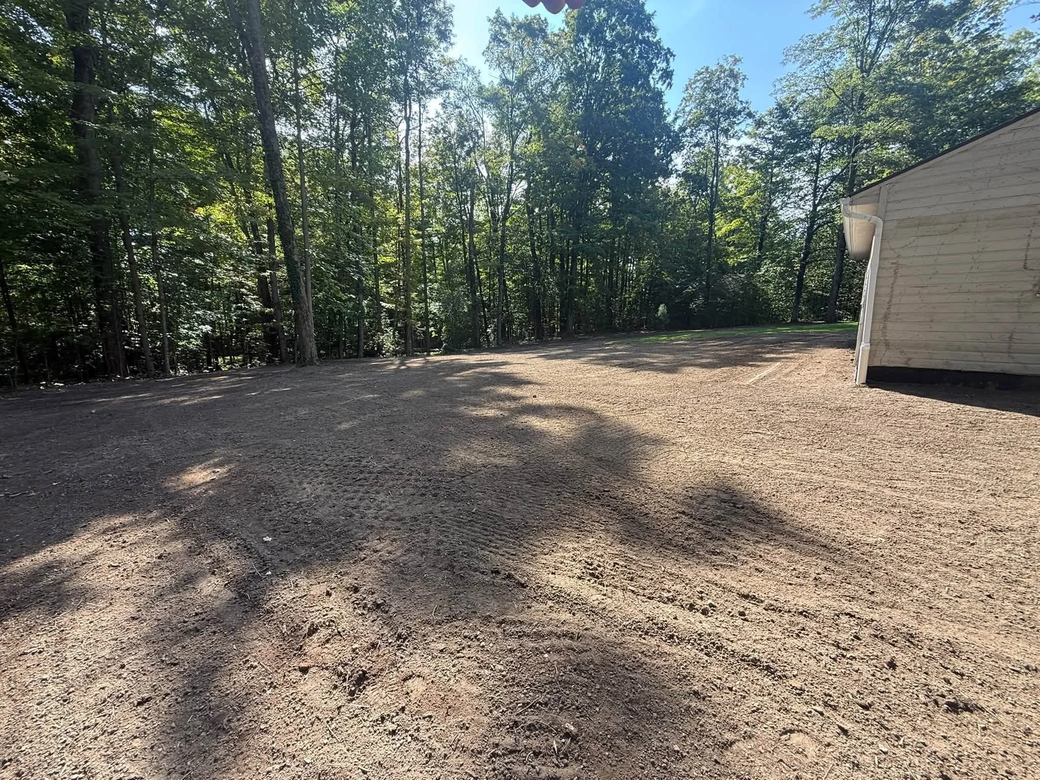 Bailey backyard after.jpg