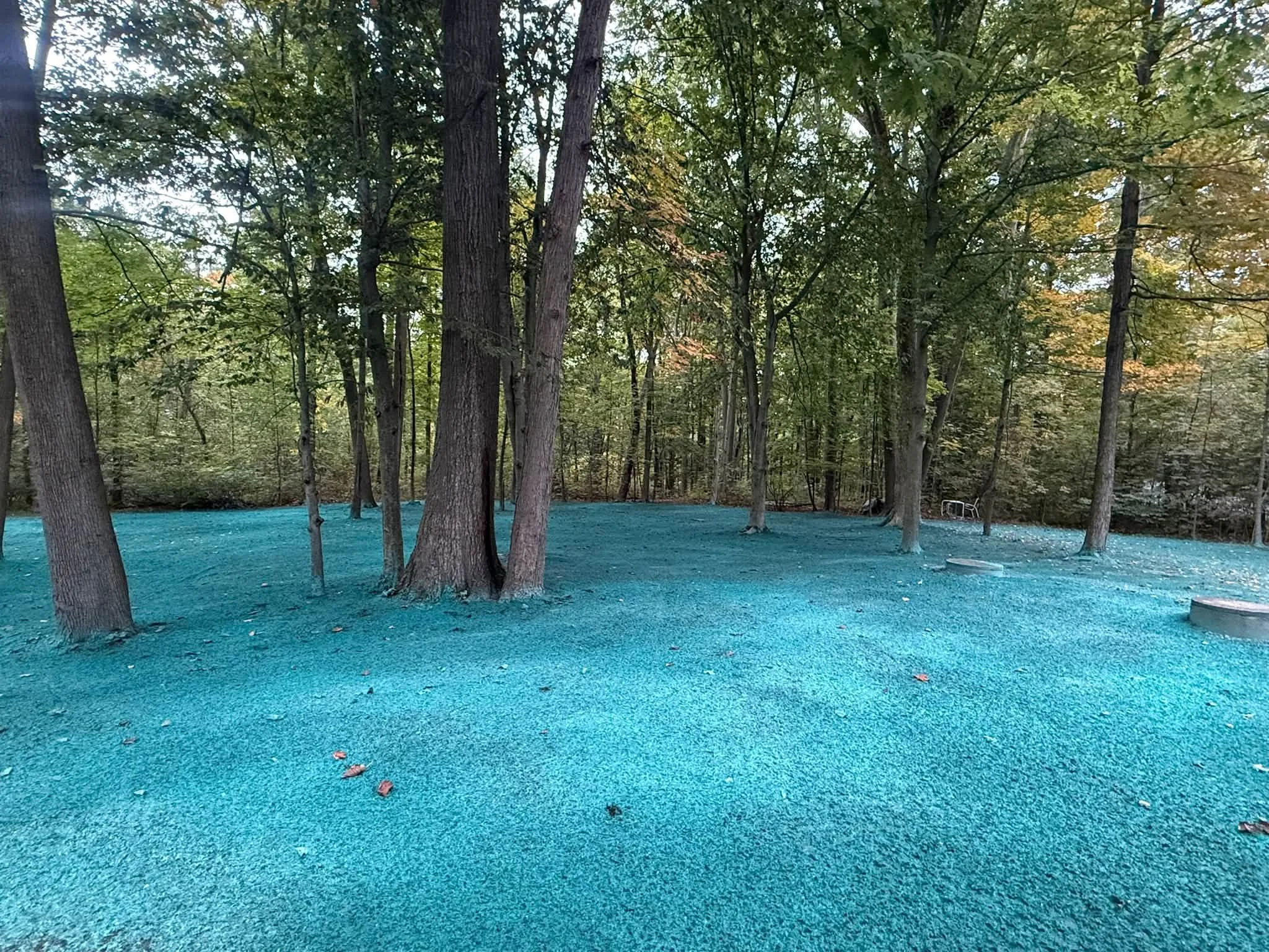 chesterland backyard .jpg