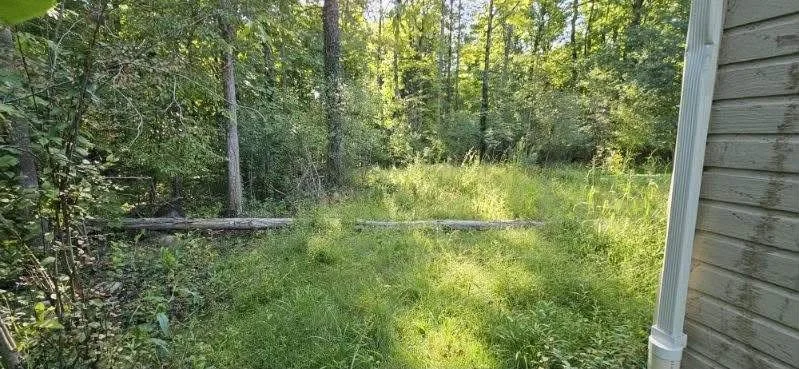 Bailey backyard before.jpg