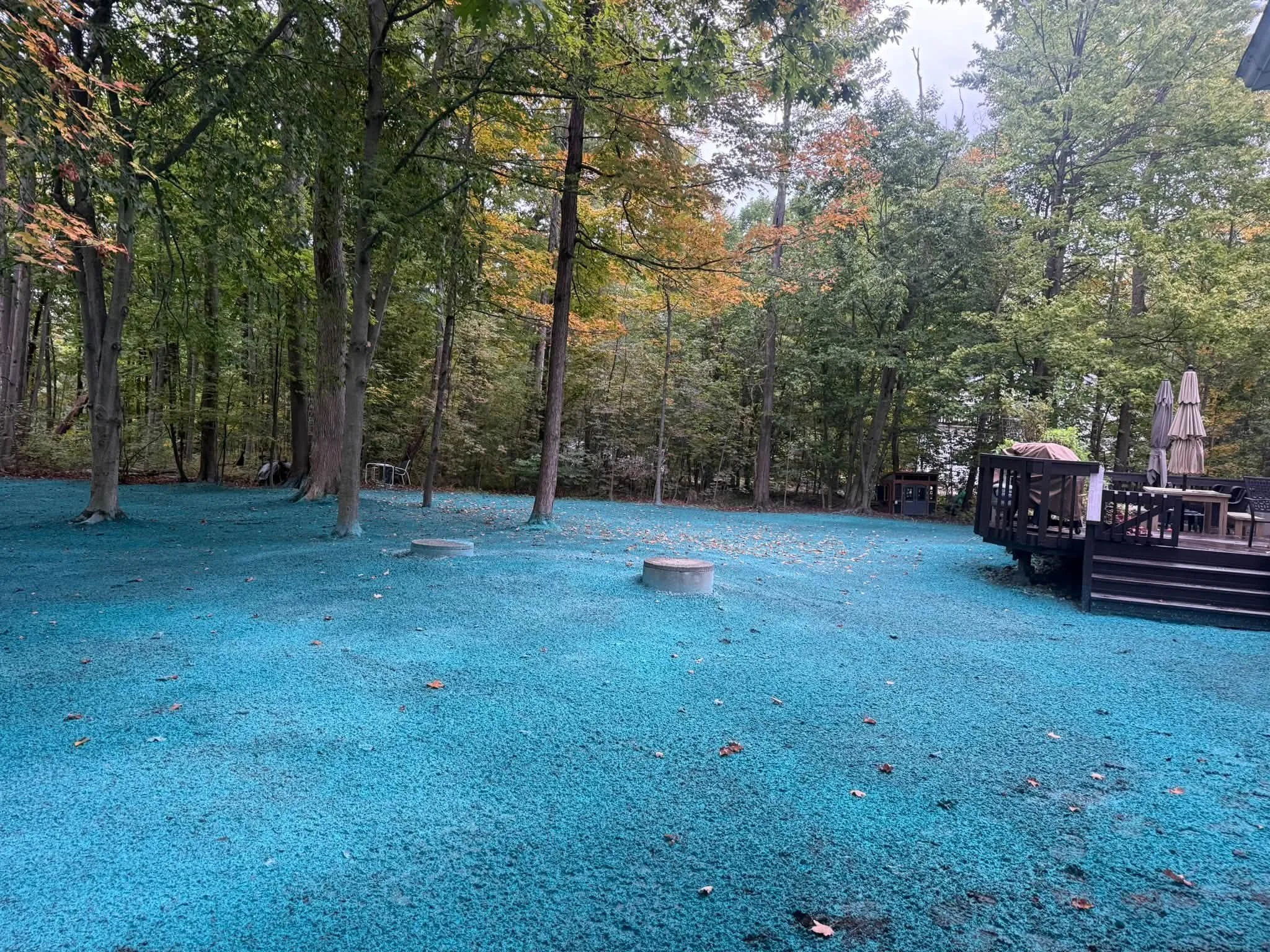 chesterland backyard 2 .jpg