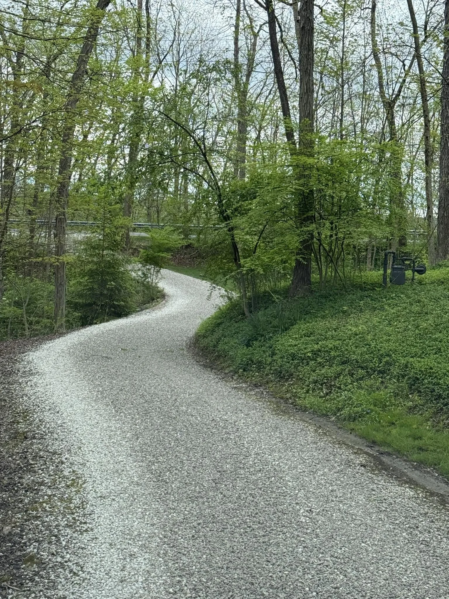 driveway tailgate.jpg