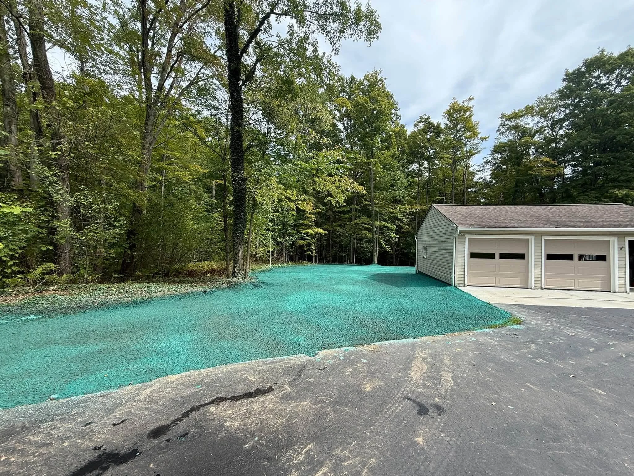 Bailey yard .jpg