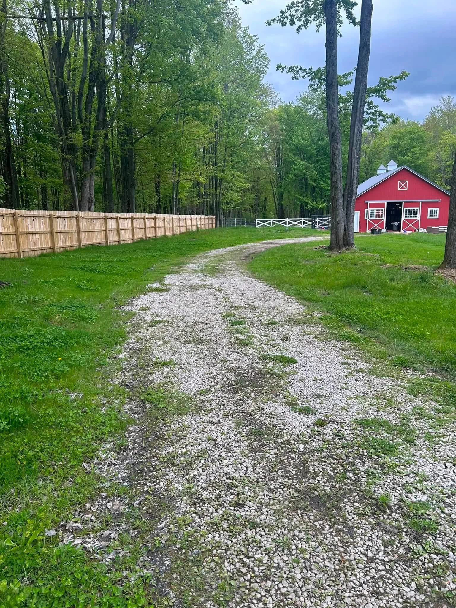 driveway before.jpg