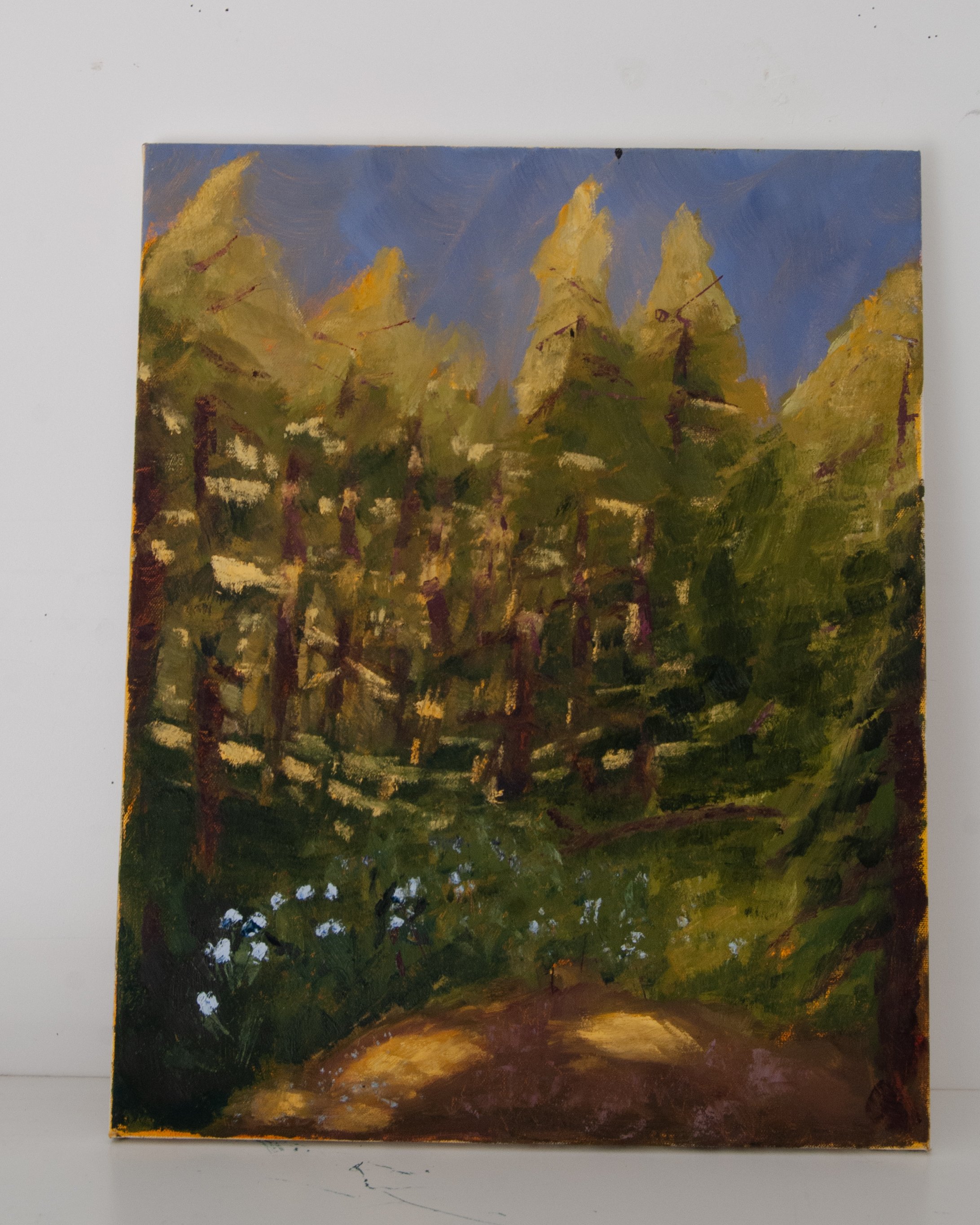 Camp Creek Campground #24, 2025, Oil on Canvas, 40 x 50 cm 