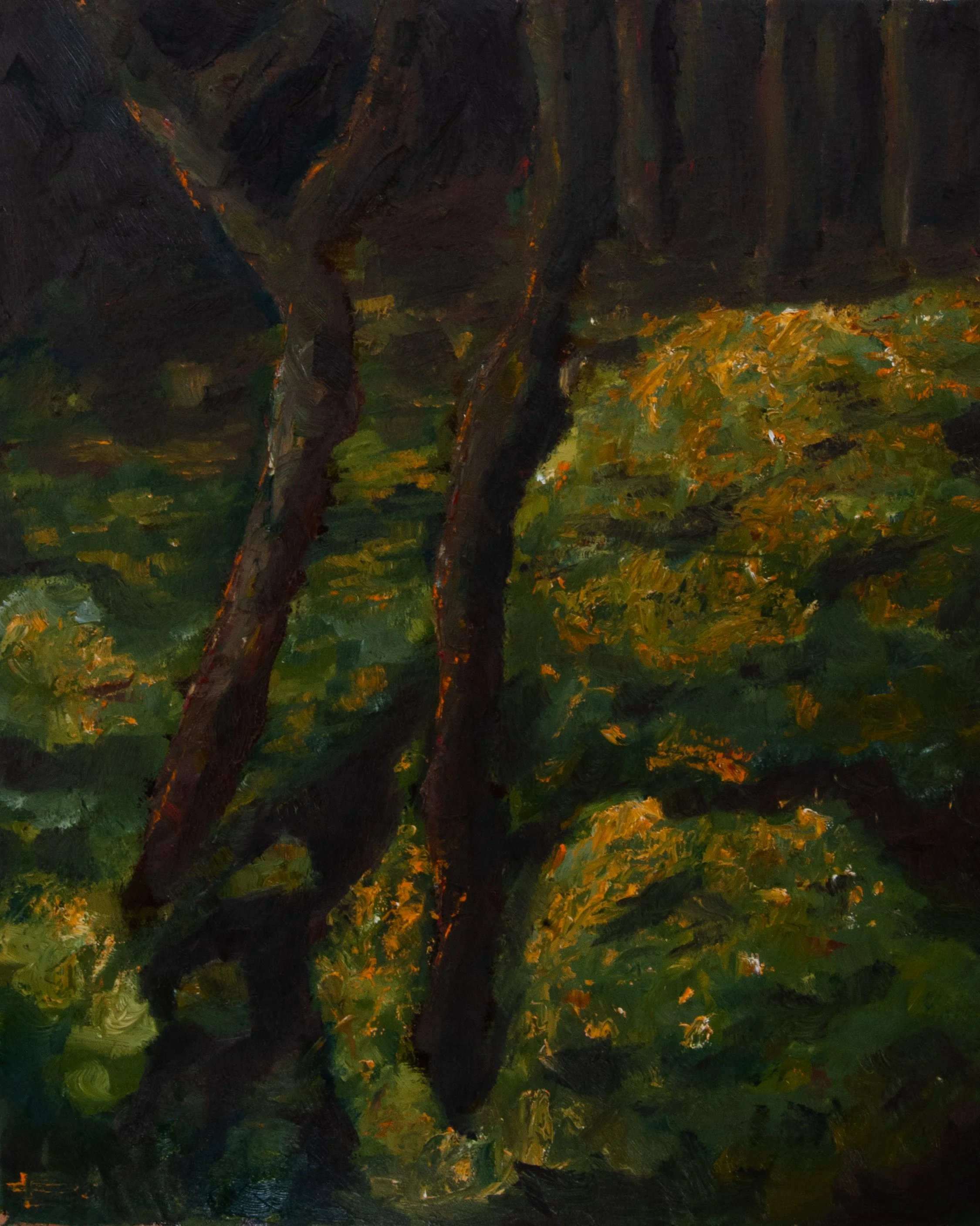 Wooded Sirens (Tillamook State Forest), 2025, Oil on Canvas, 40 x 50 cm 