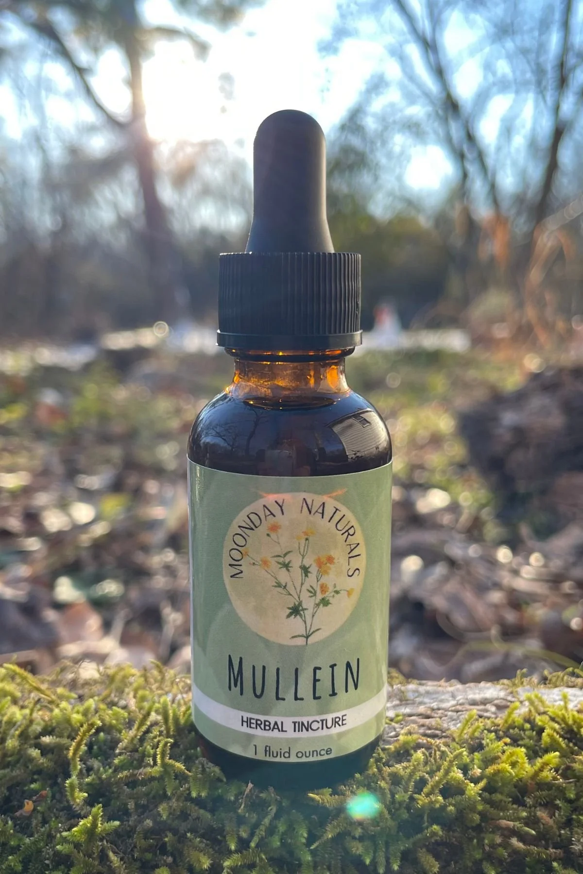 Mullein Tincture