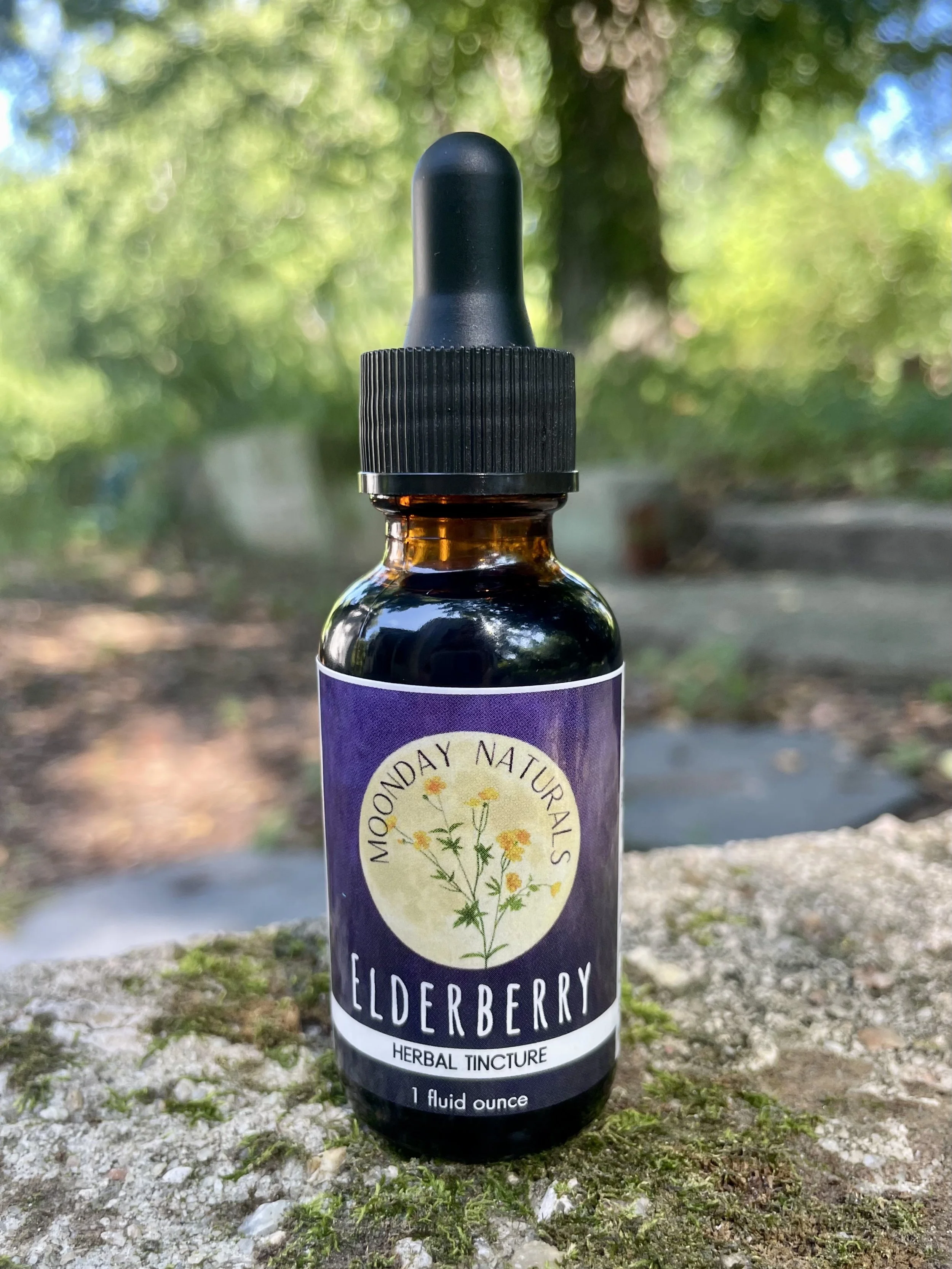 Elderberry Tincture