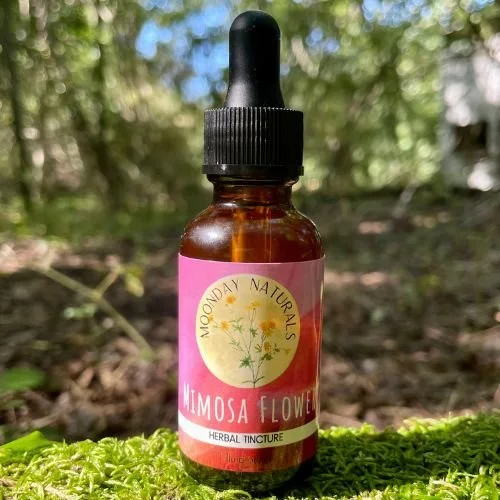 Mimosa Flower Tincture