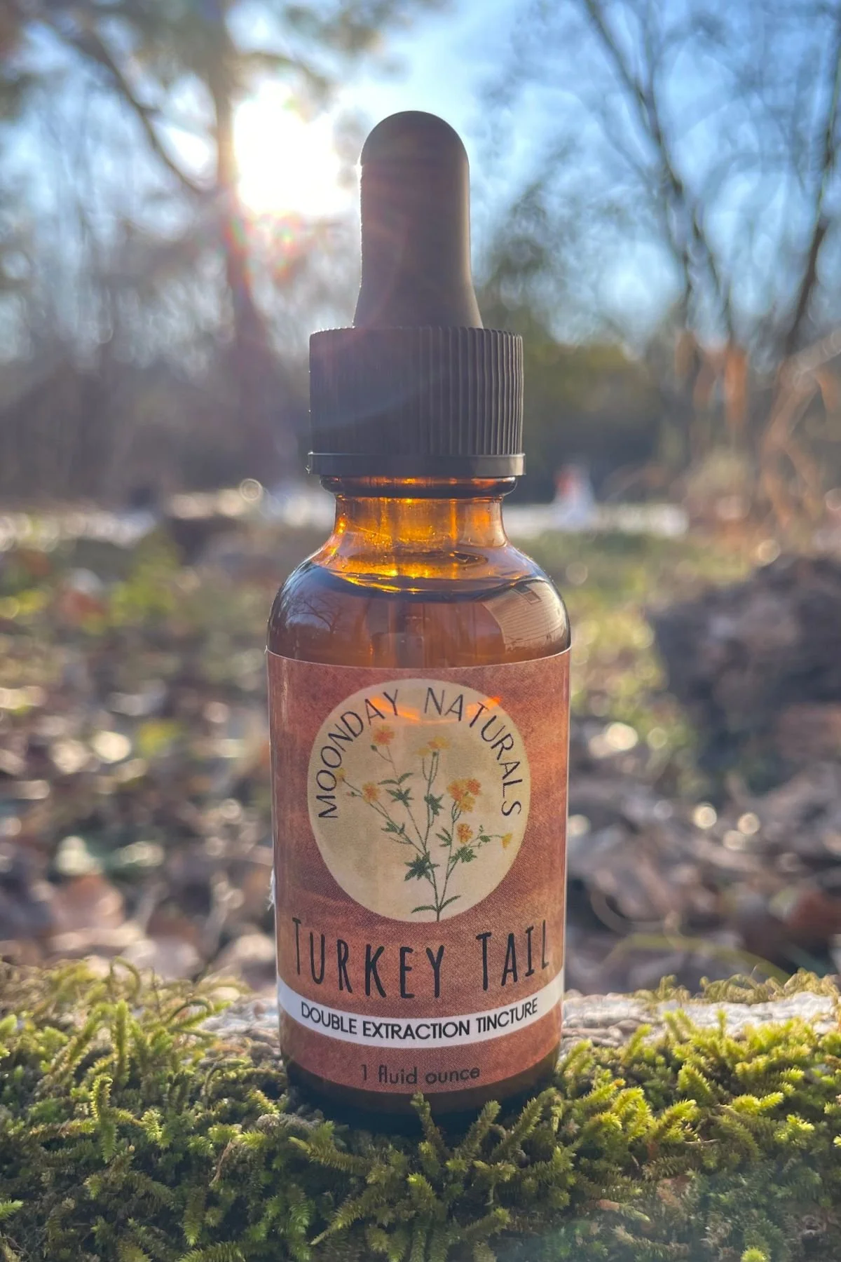 Turkey Tail Tincture