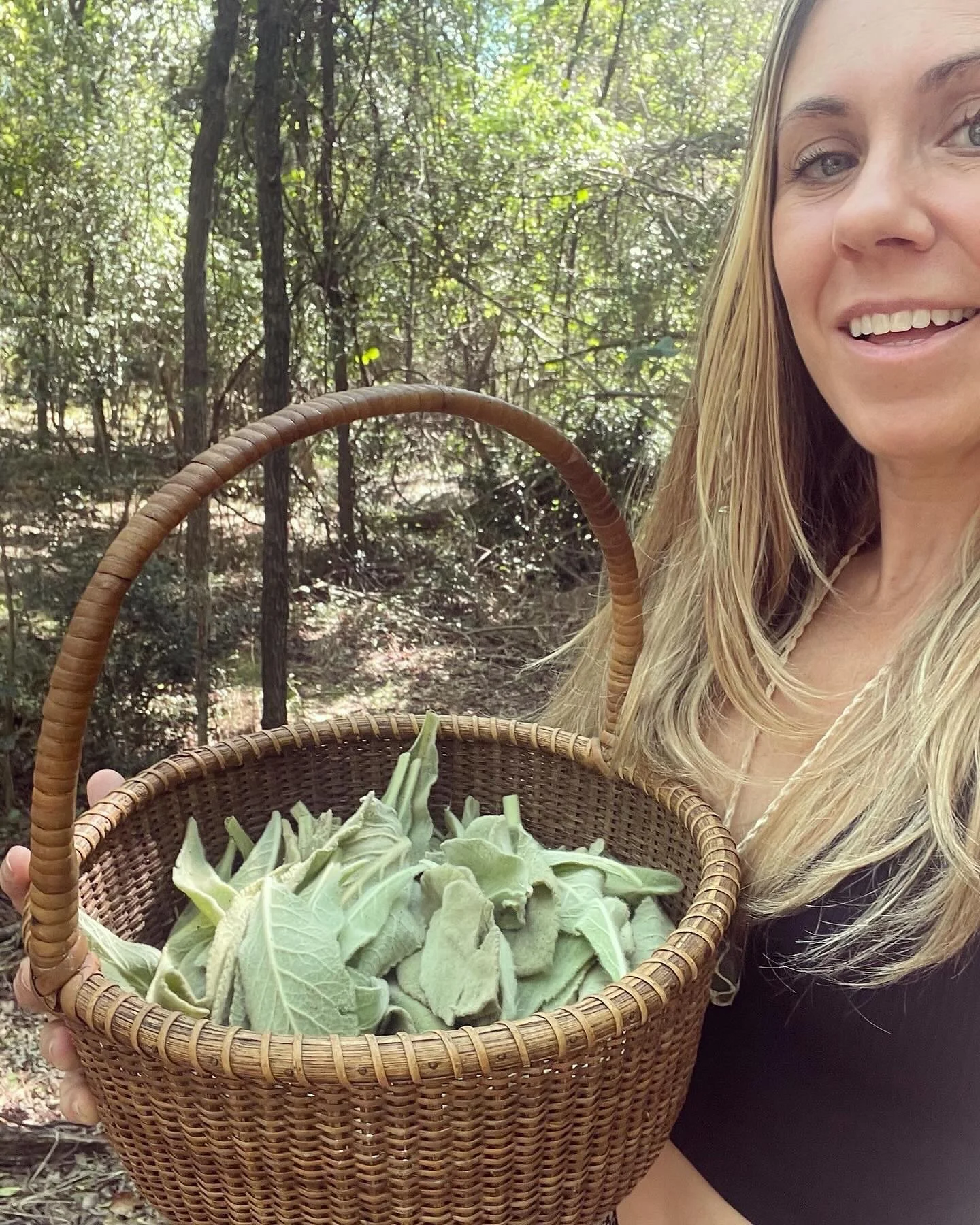 One-on-One Consultation