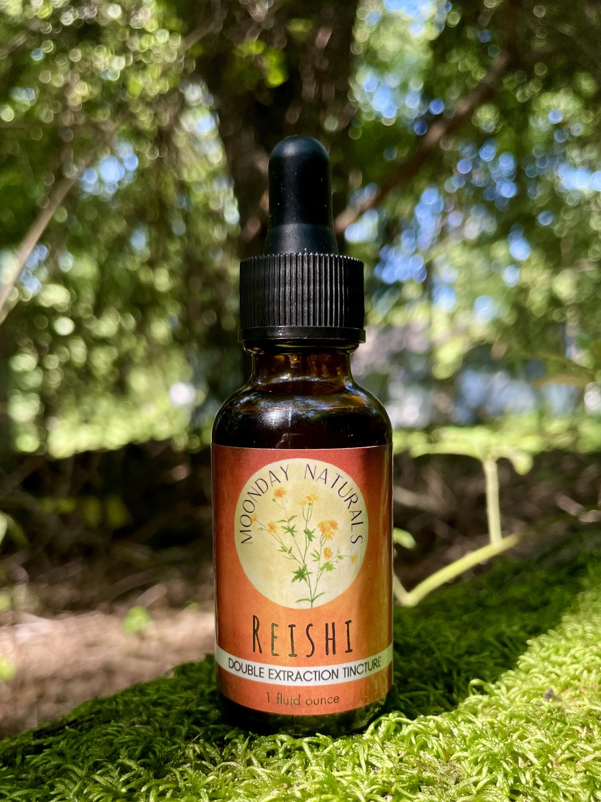 Reishi Tincture