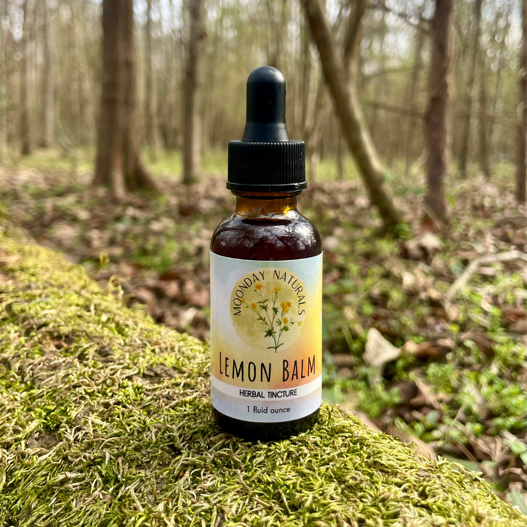 Lemon Balm Tincture