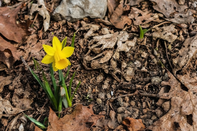 Staying Present in a Season of Change