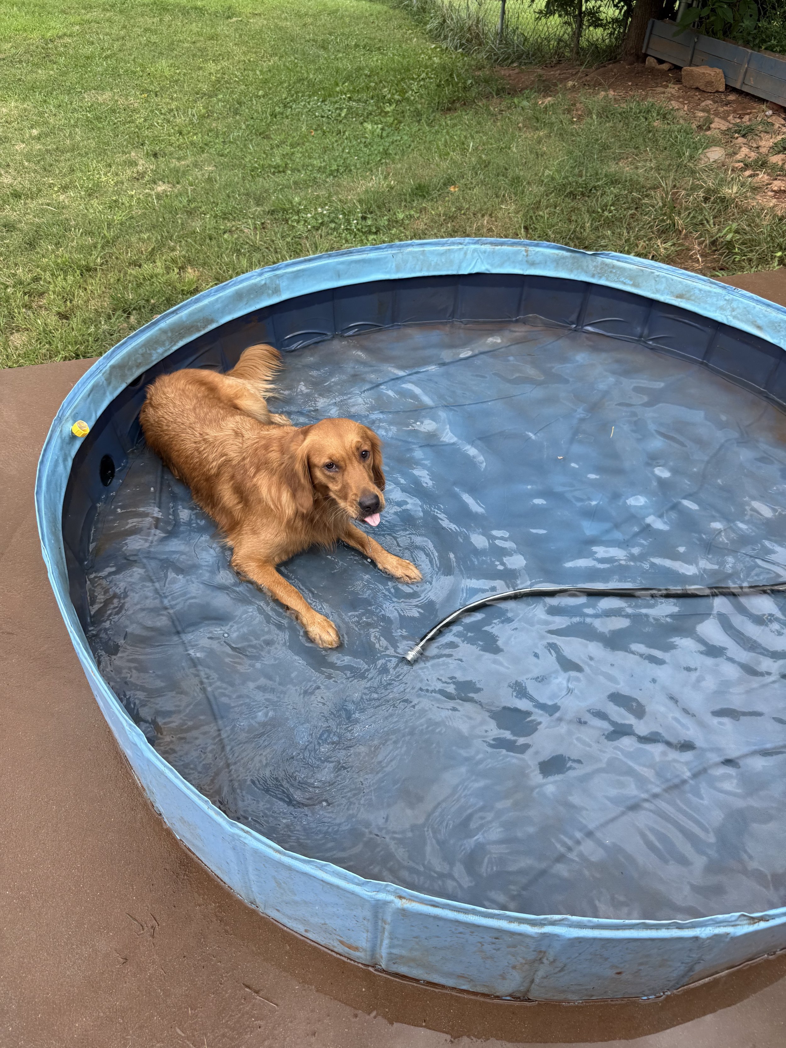 randi pool.jpeg