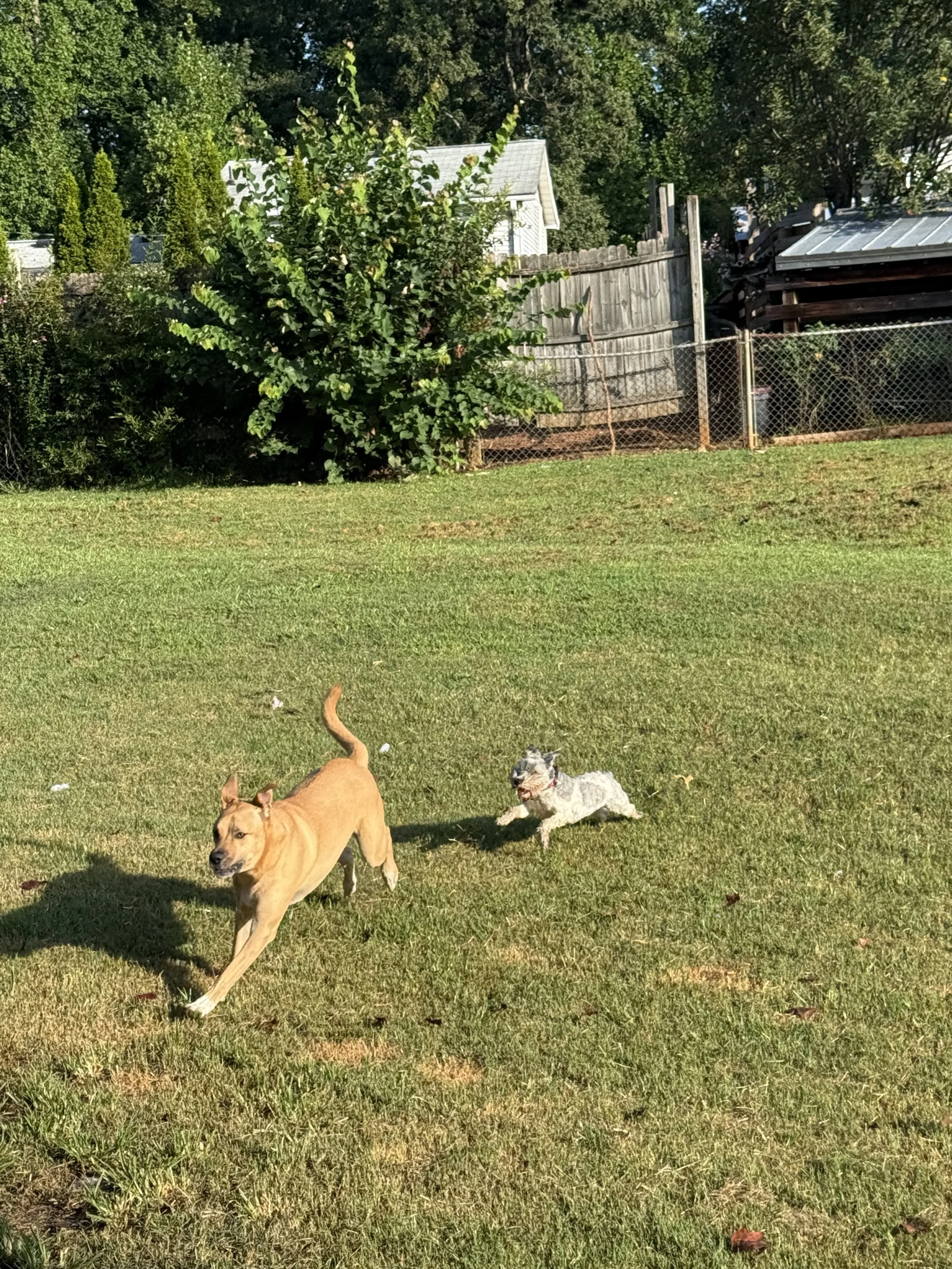 IMG_6722.jpeg