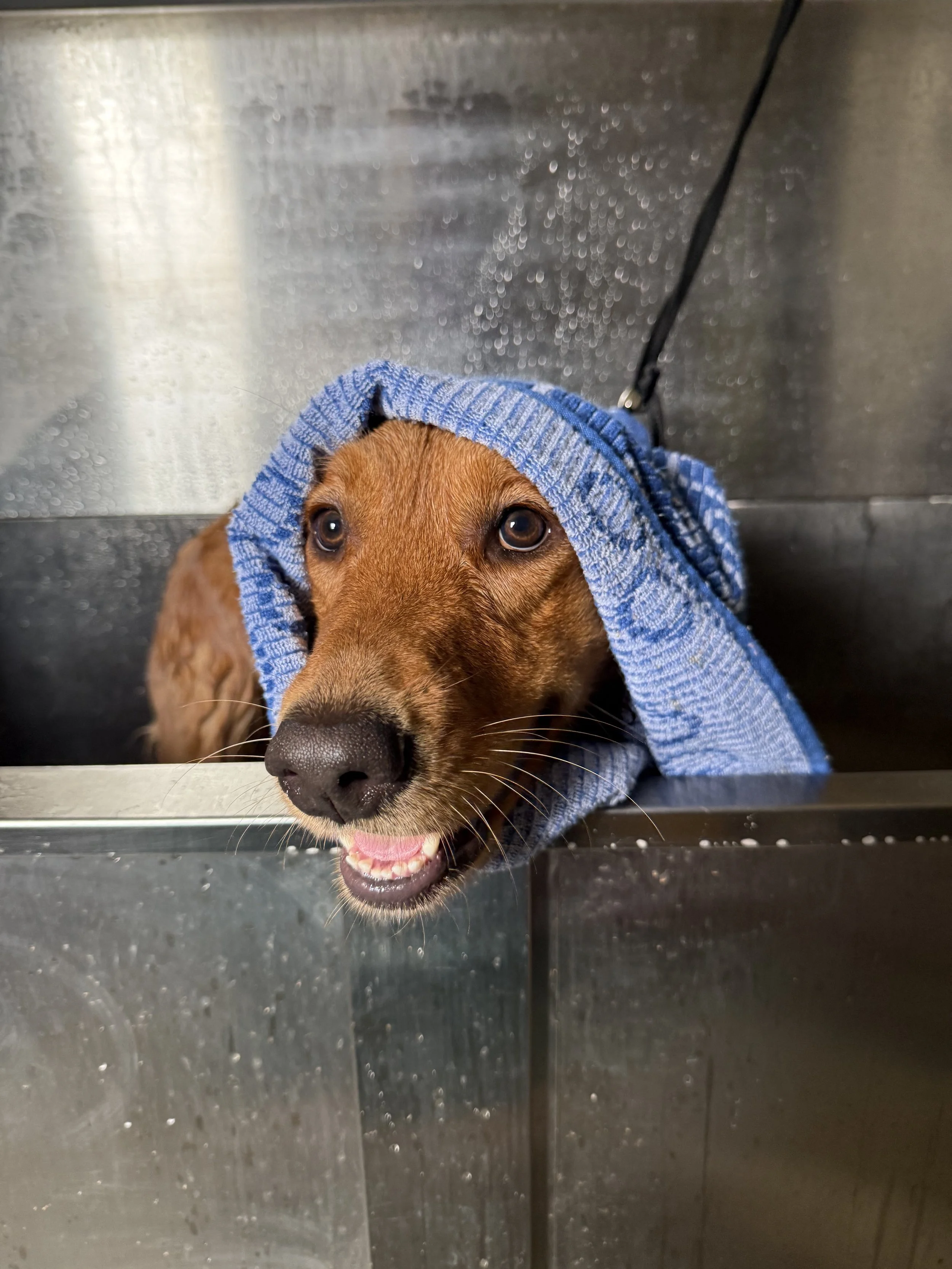 randi bath.jpeg