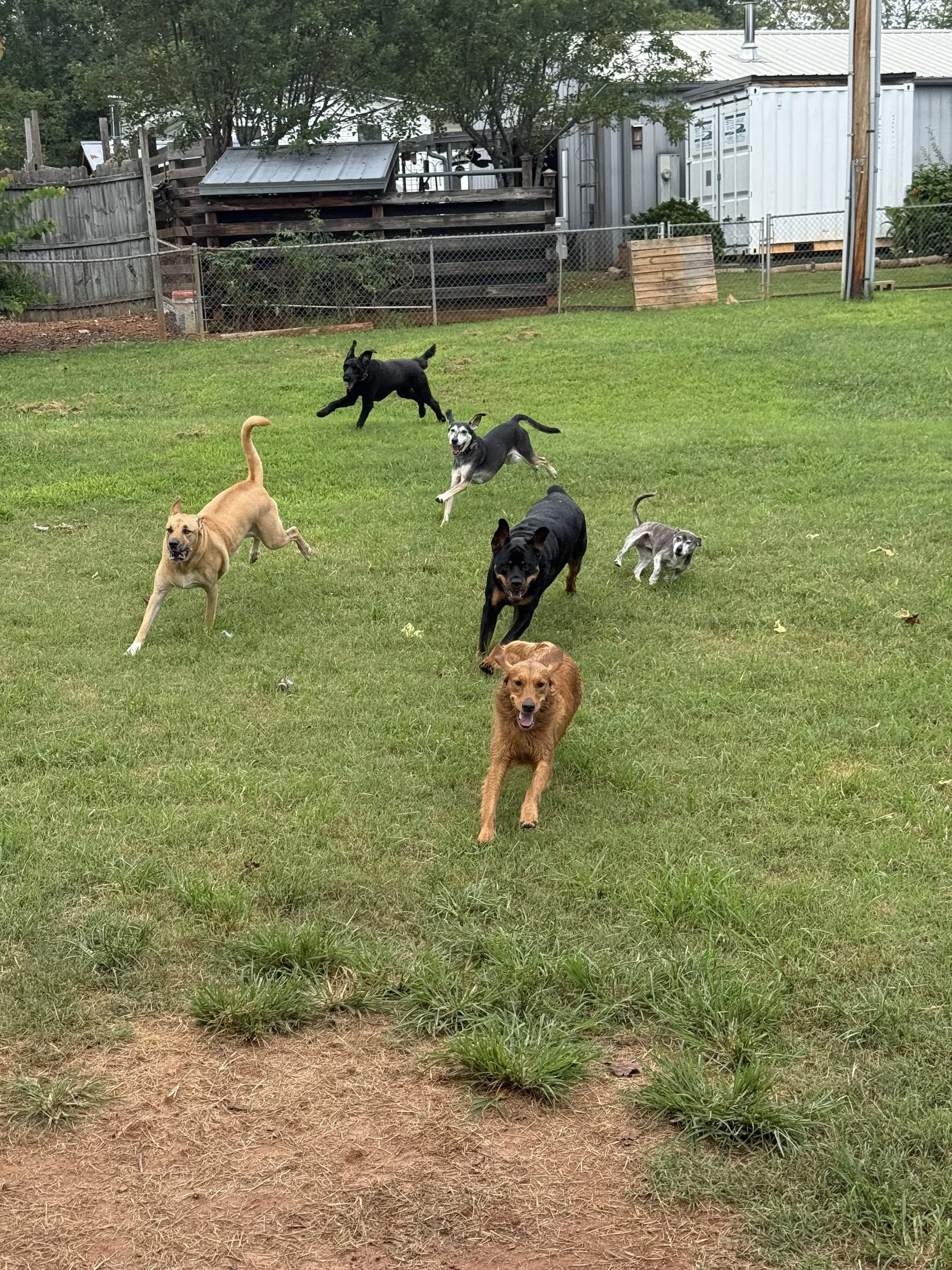 full sprint.jpeg