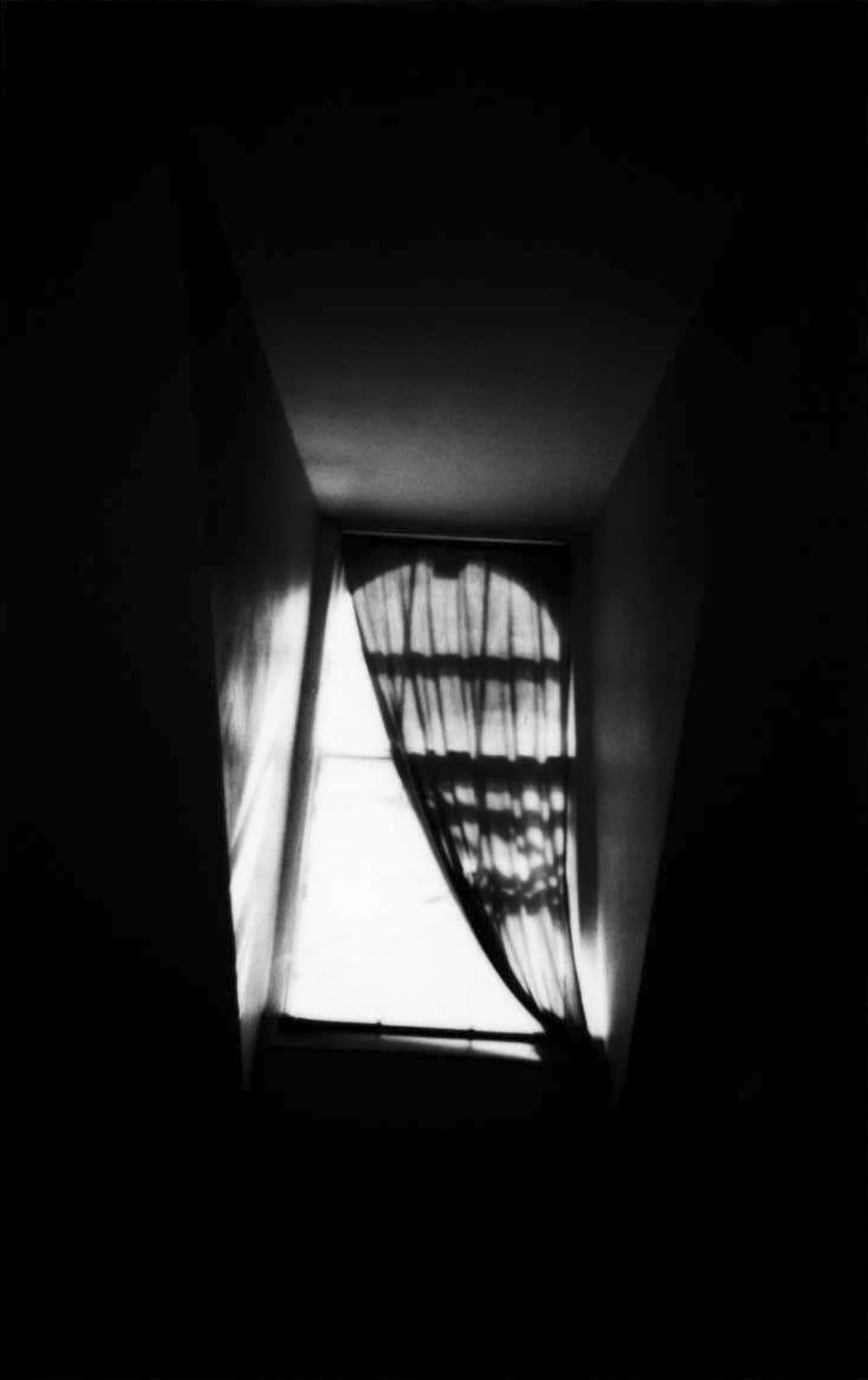 Window_01.JPEG