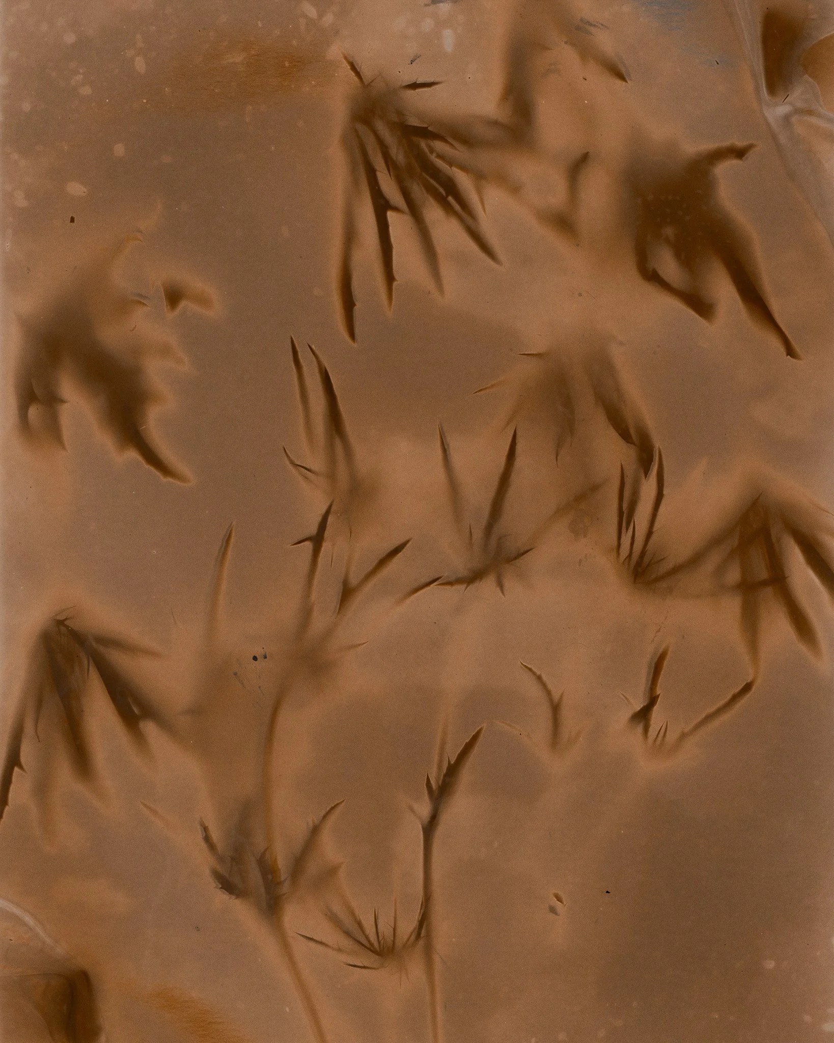 Untitled (Lumen#03), 2025