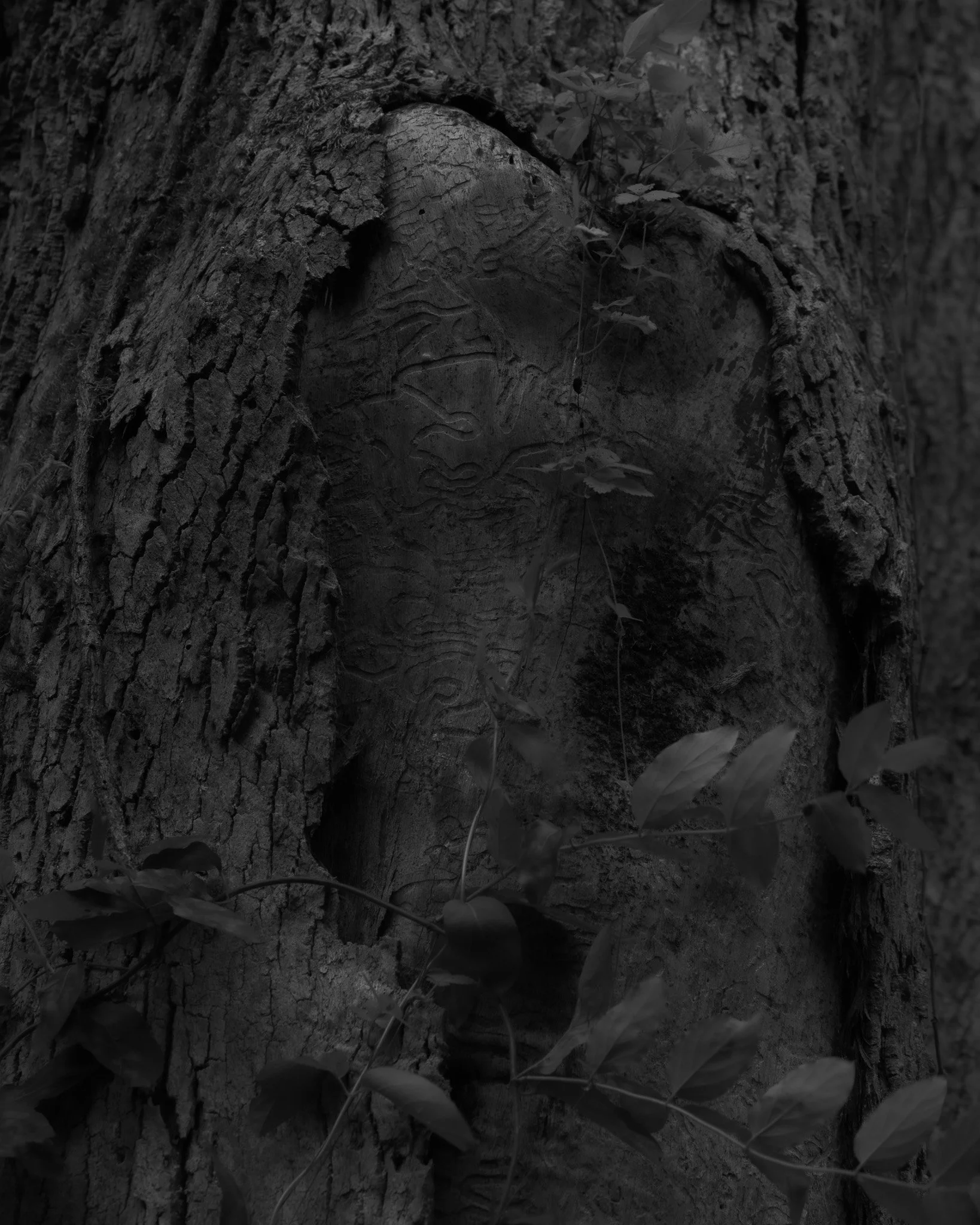 Looking for Your Elsewhere, 2024