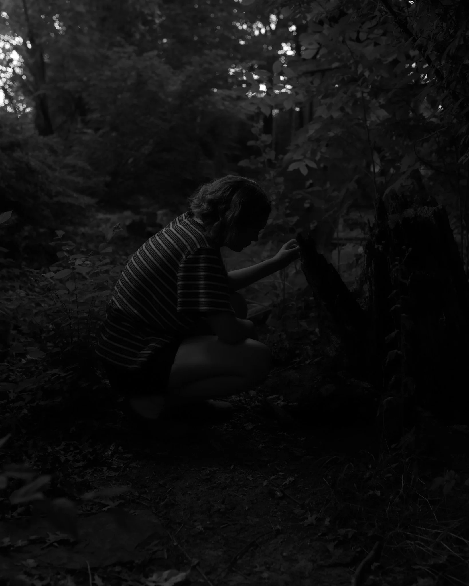 Untitled (Bark), 2023