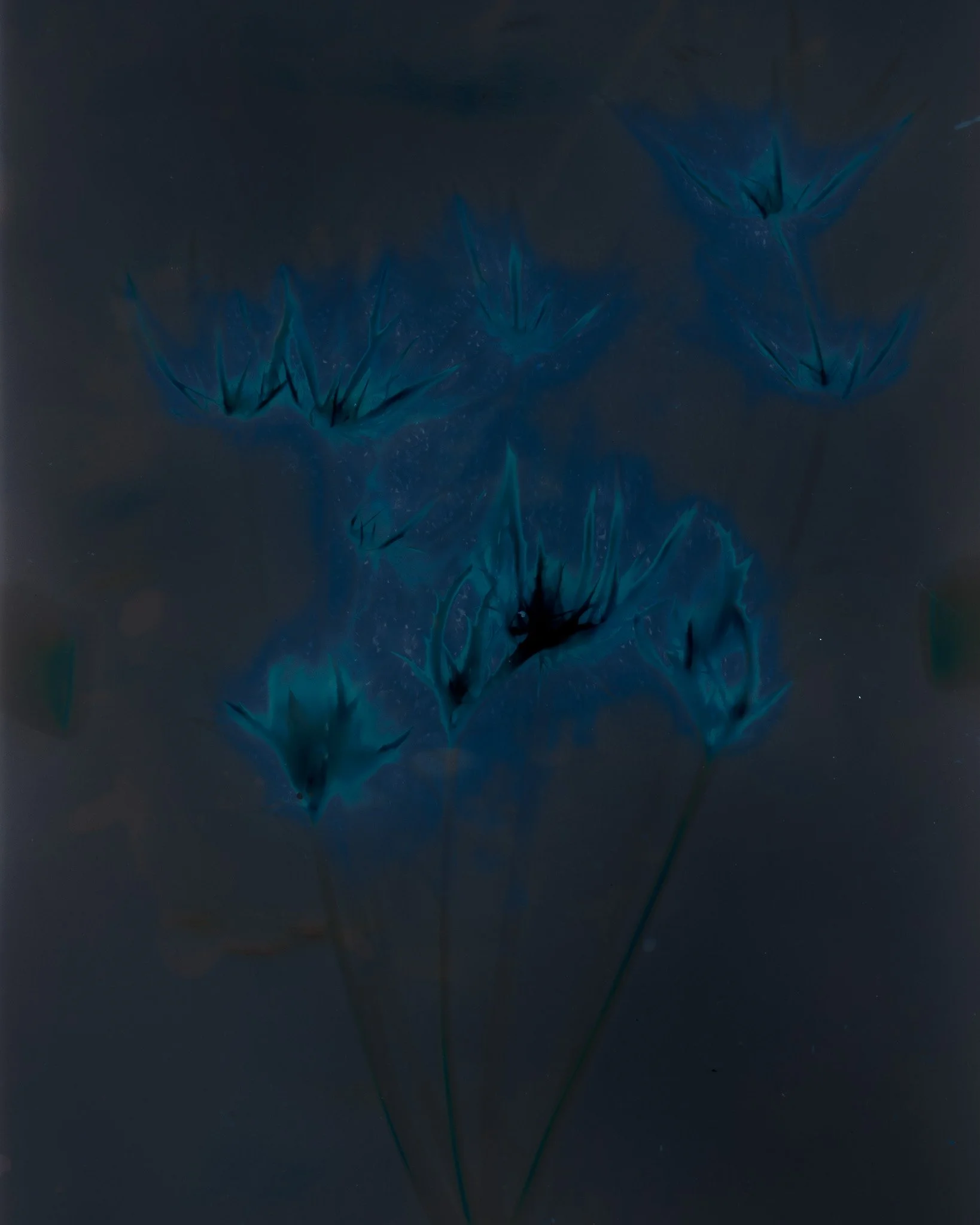 Untitled (Lumen #01), 2025