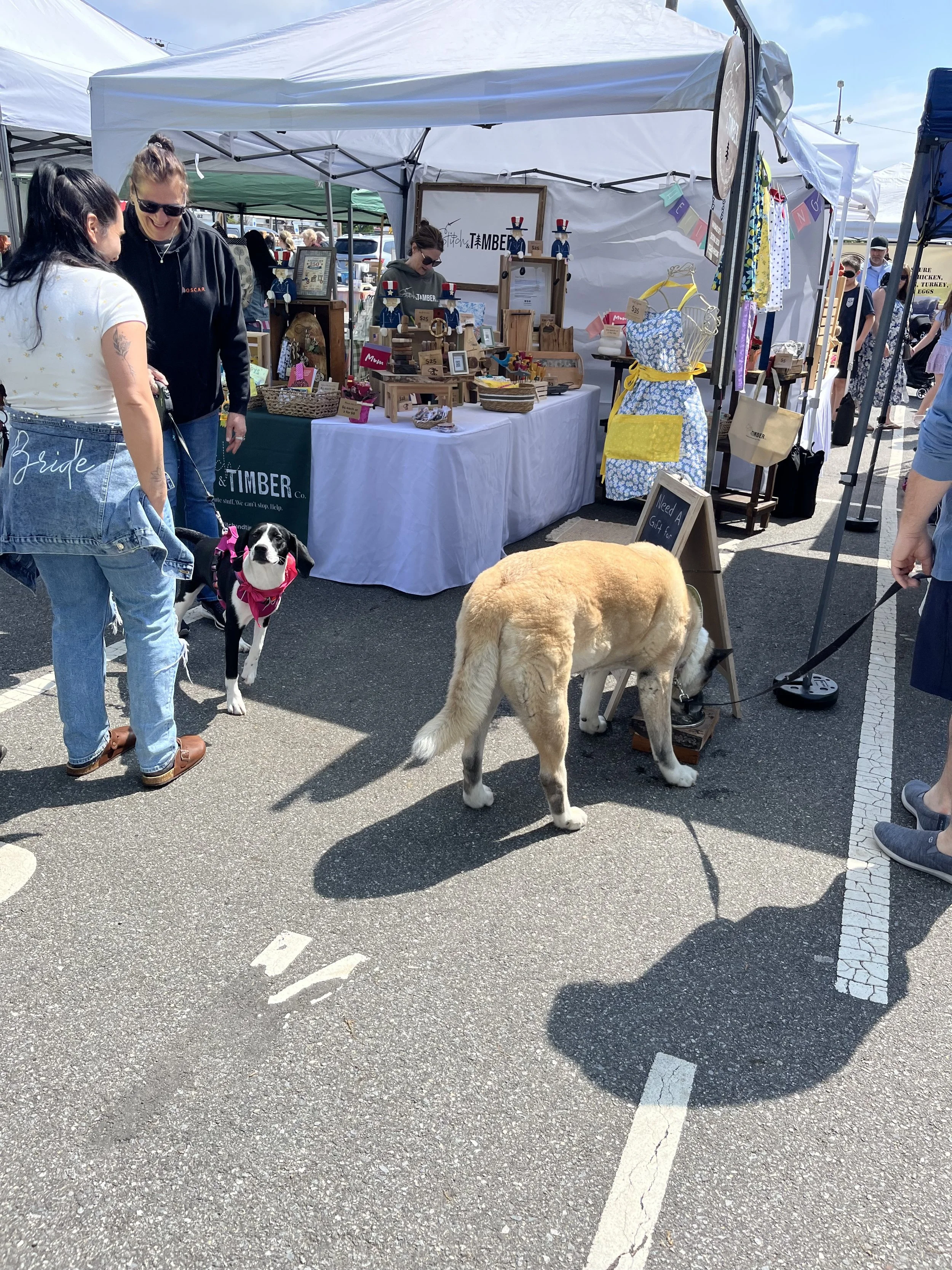 IMG_5487.jpeg