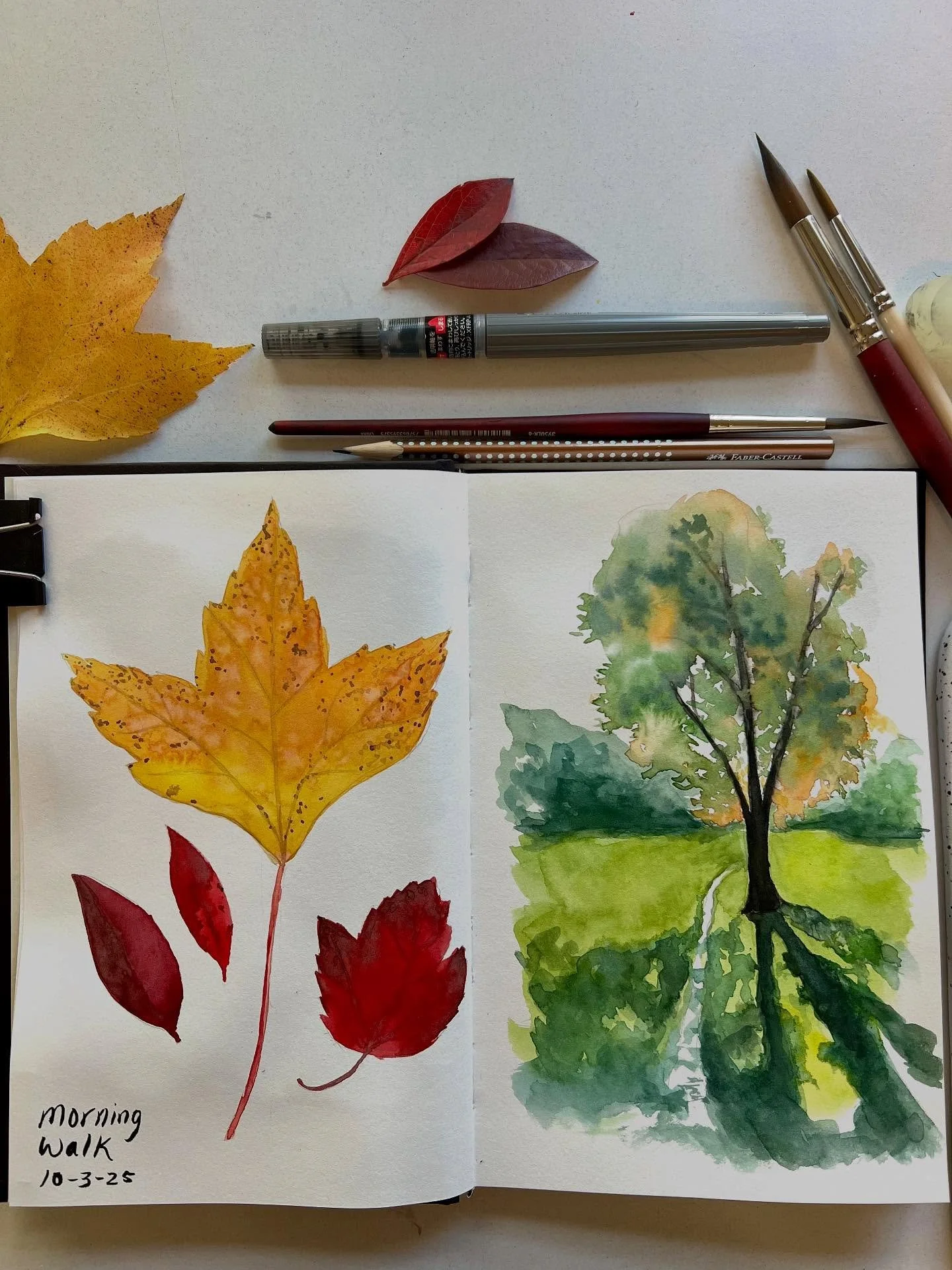Squeezed in a little sketchbook painting to capture the beauty of the season! 🍂🍁 #sketchbook #sketchbookpainting #watercolorsketch #watercolor #fallart #fall #fallleaves