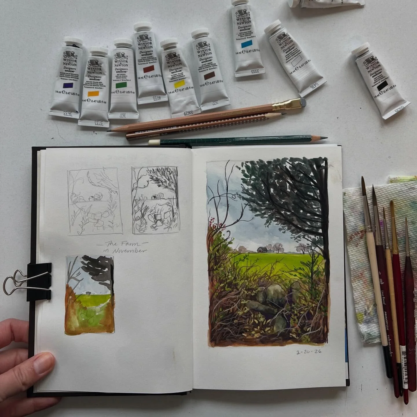 Things quieted down enough that I could squeeze in a little sketchbook painting of this scene I saw way back in November. 💚 #sketchbook #goauchepainting #goauche #landscapepaintings #illustration