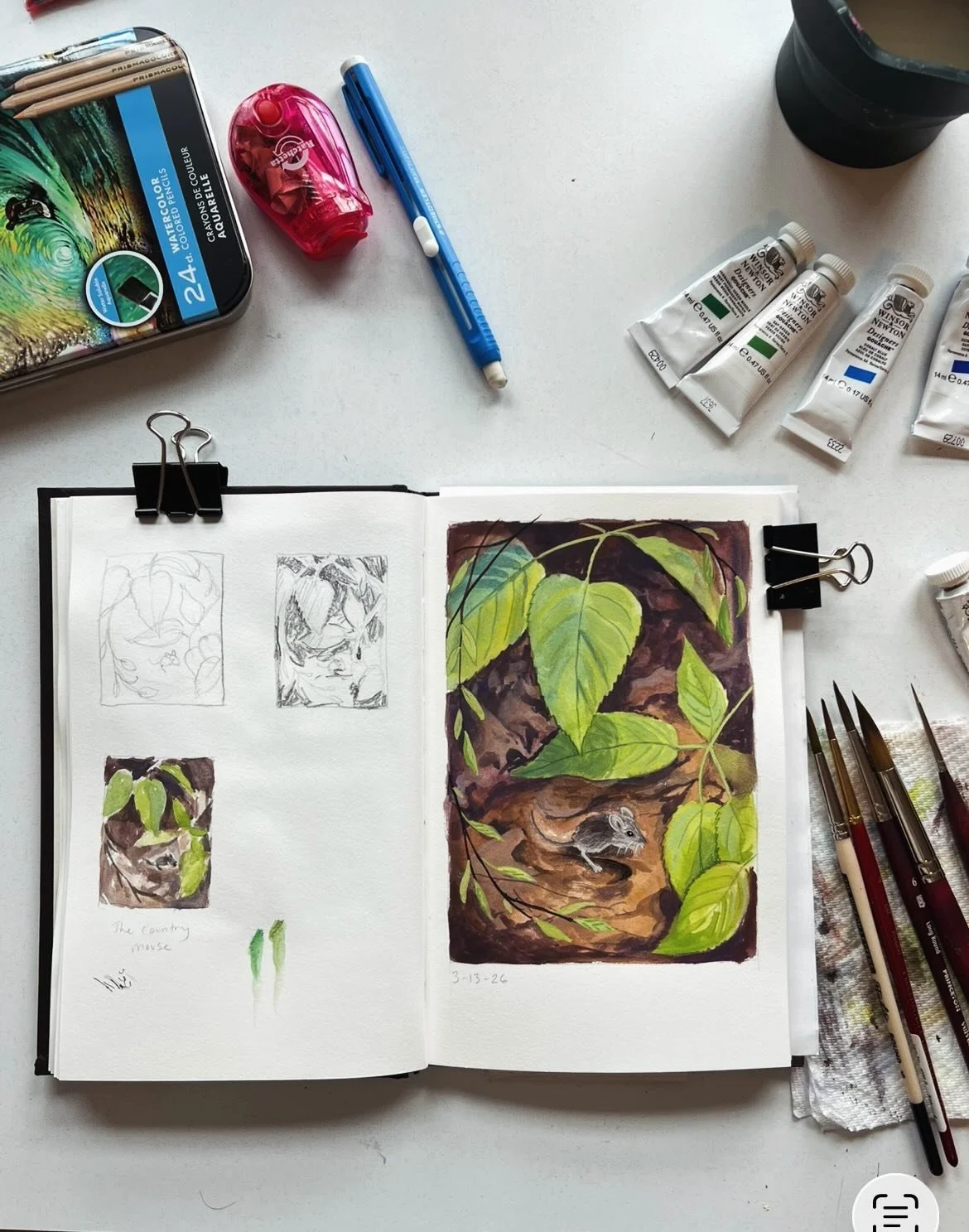 Another sketchbook painting this week trying out more gouache methods and mixing in some watercolor colored pencils. I just love this sweet little mouse I saw last summer! #sketchbookpainting #gouache #natureart #naturepainting🌄 #sketchbook